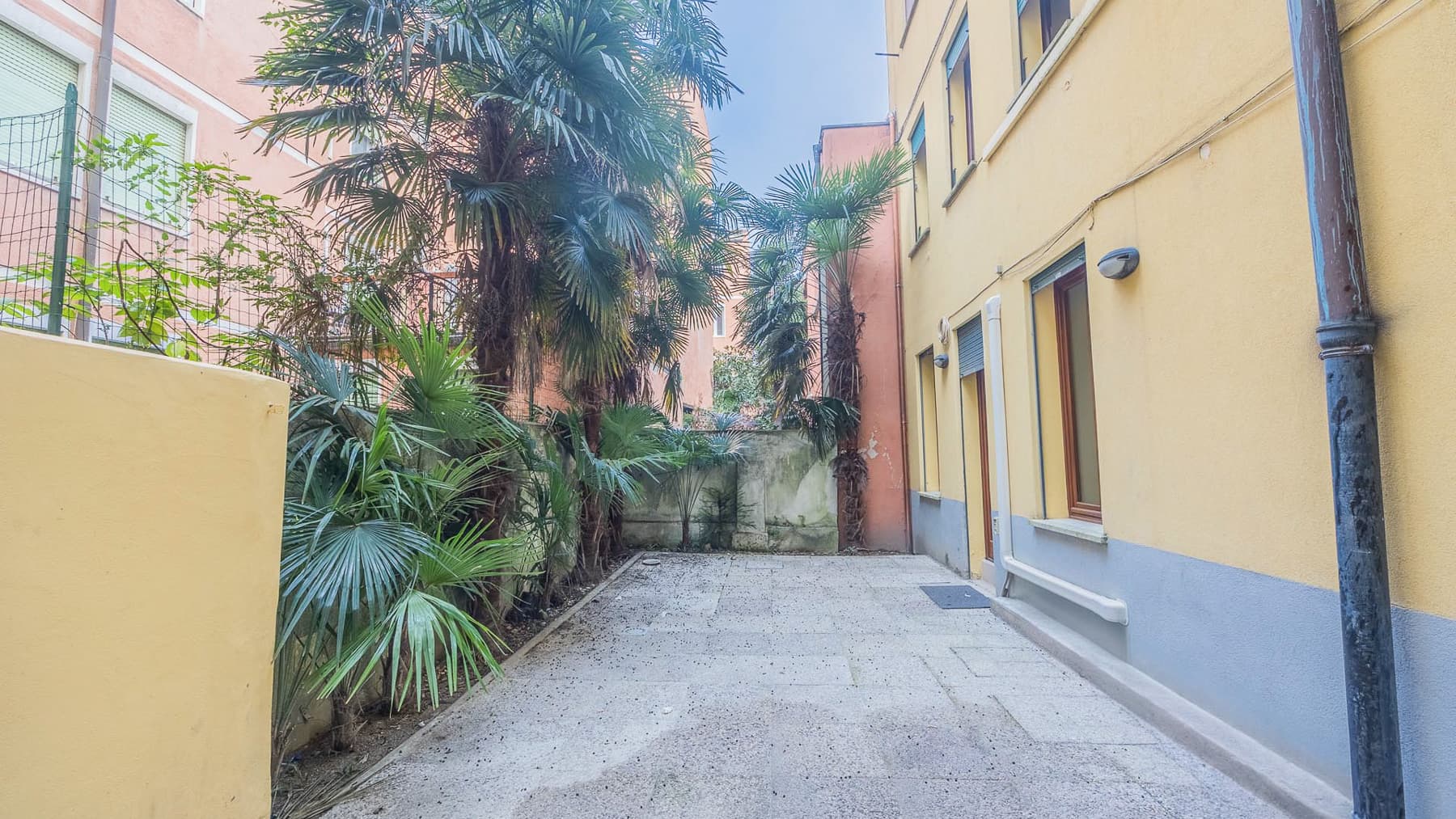 Big Image 12
