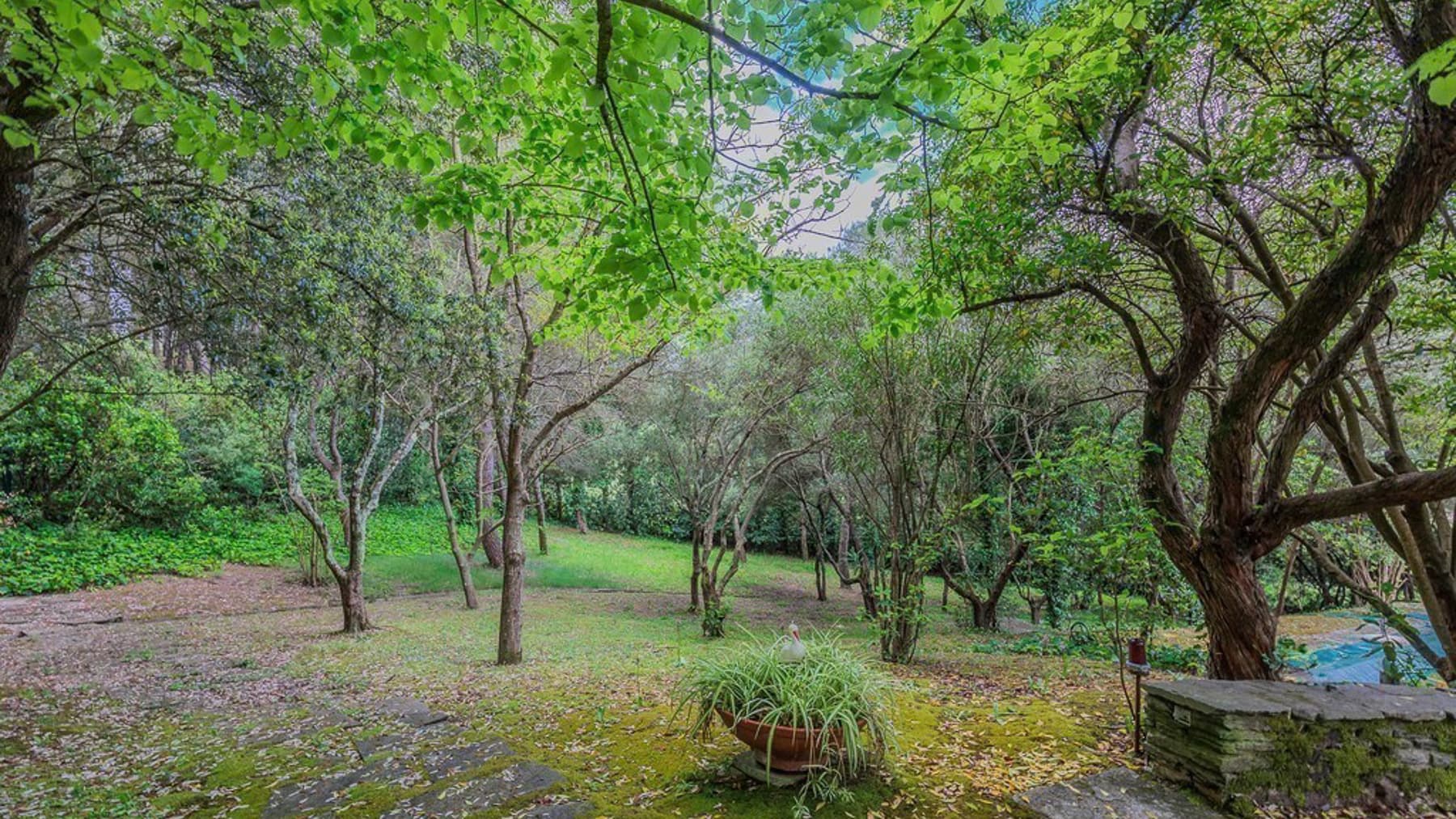 Big Image 37