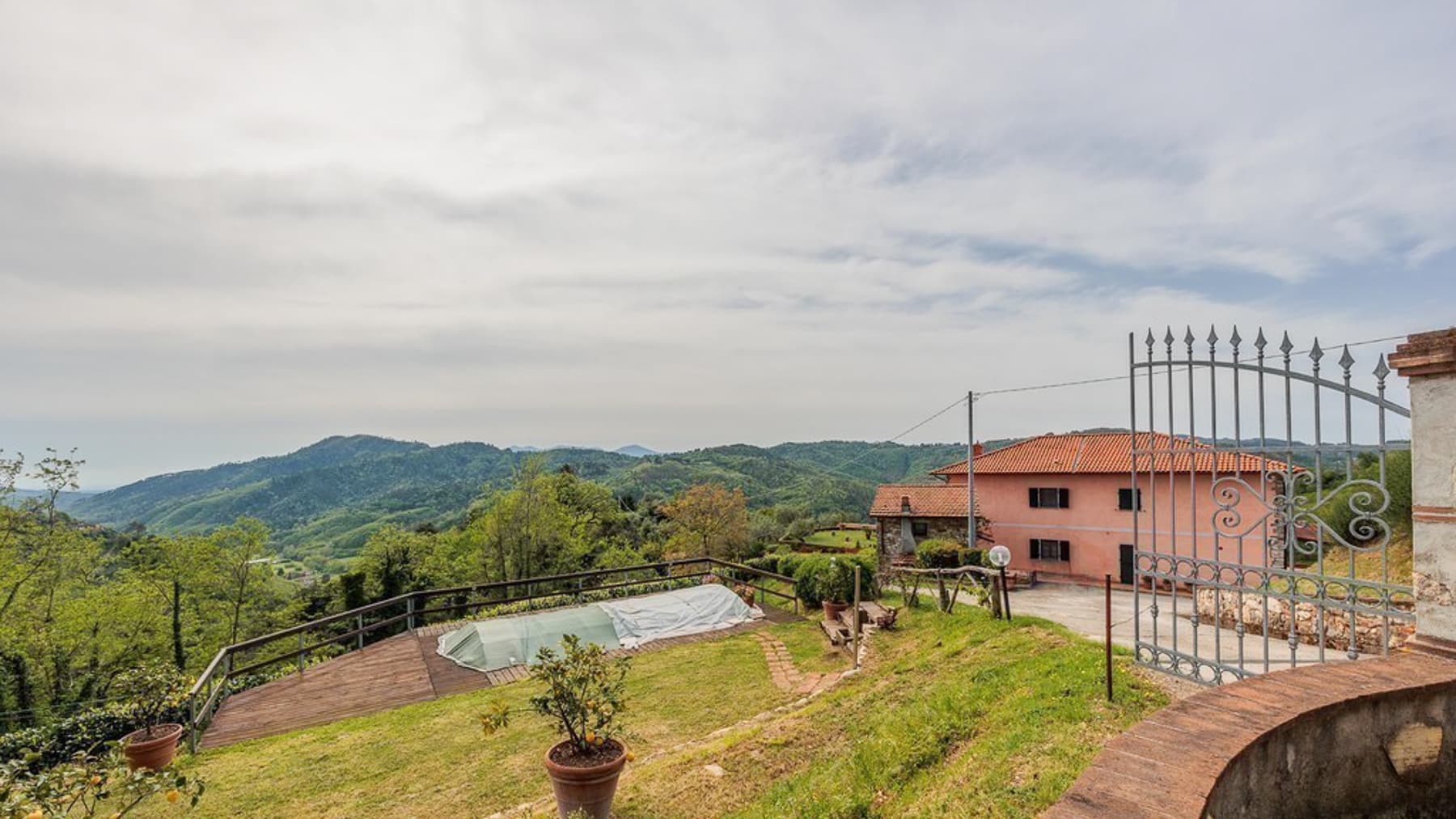 Big Image 14