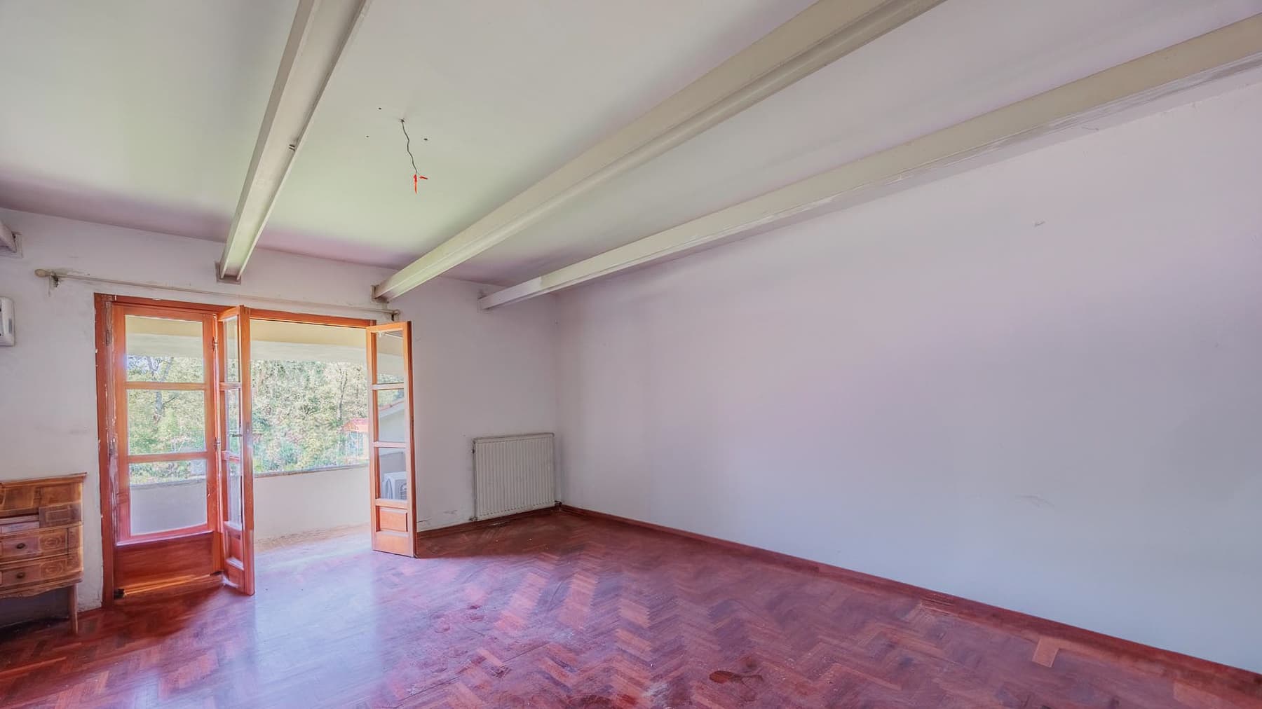 Big Image 2