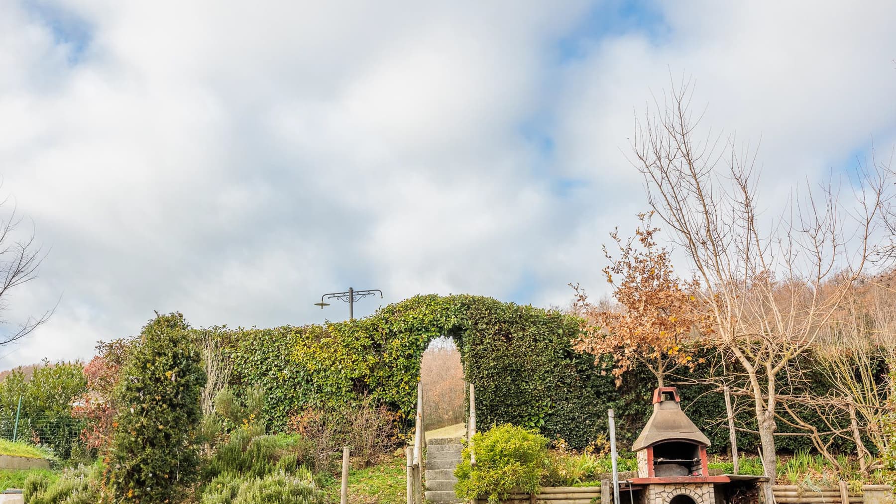 Big Image 6