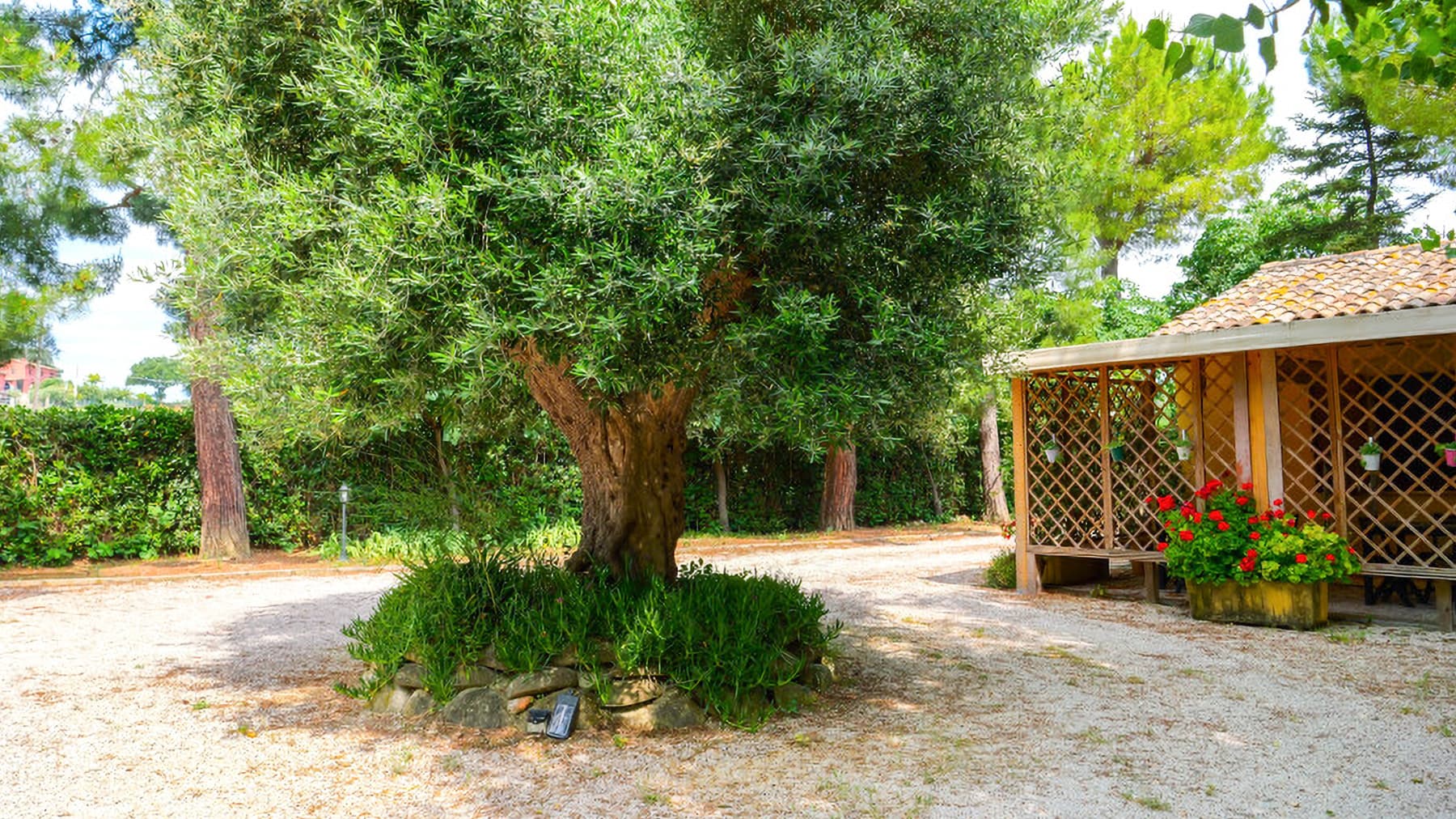 Big Image 6