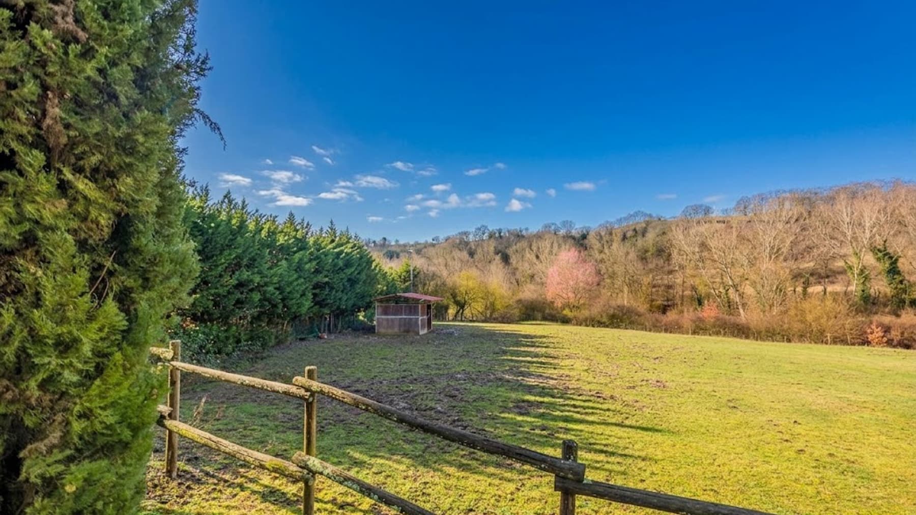 Big Image 16