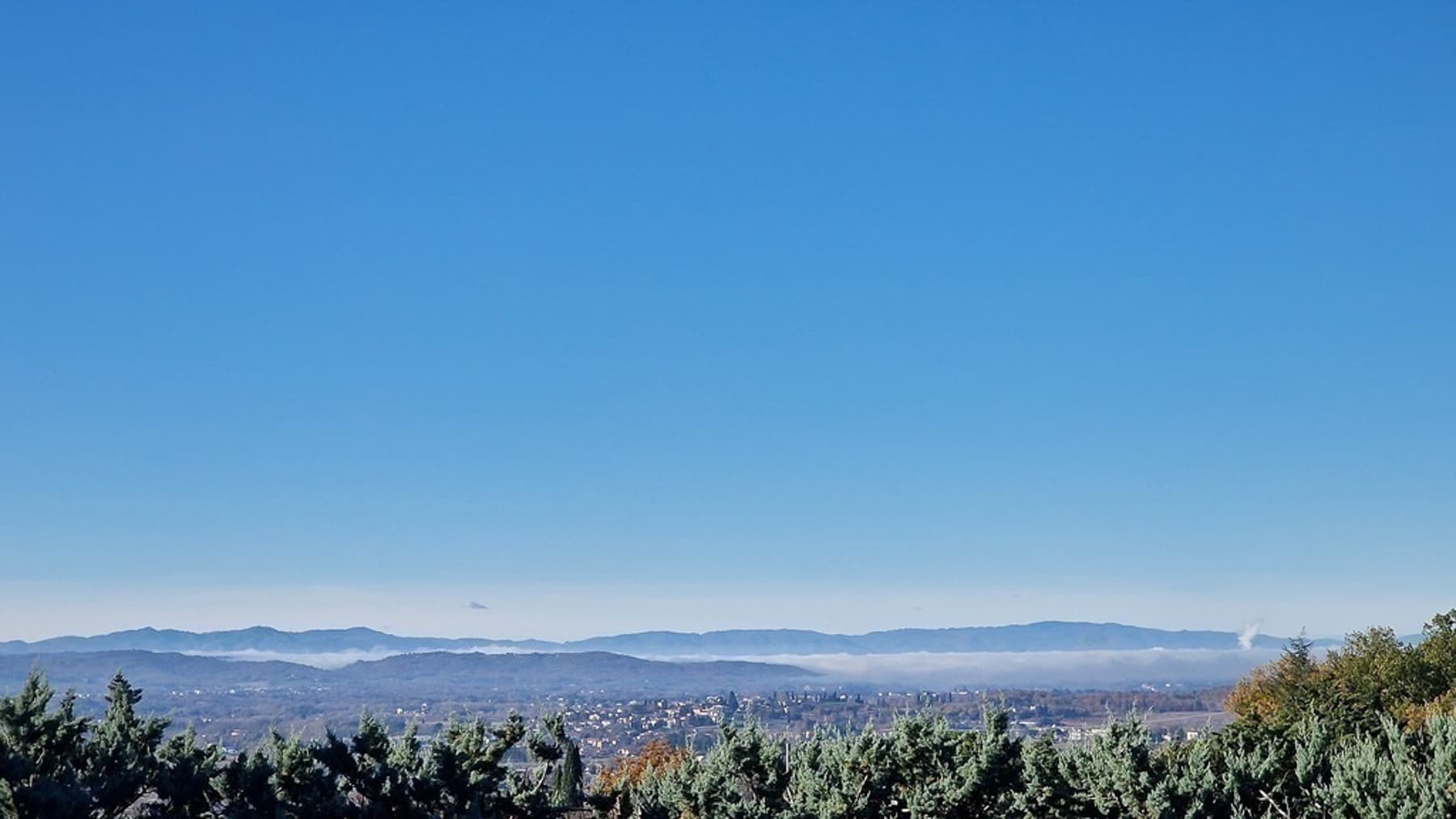 Big Image 14