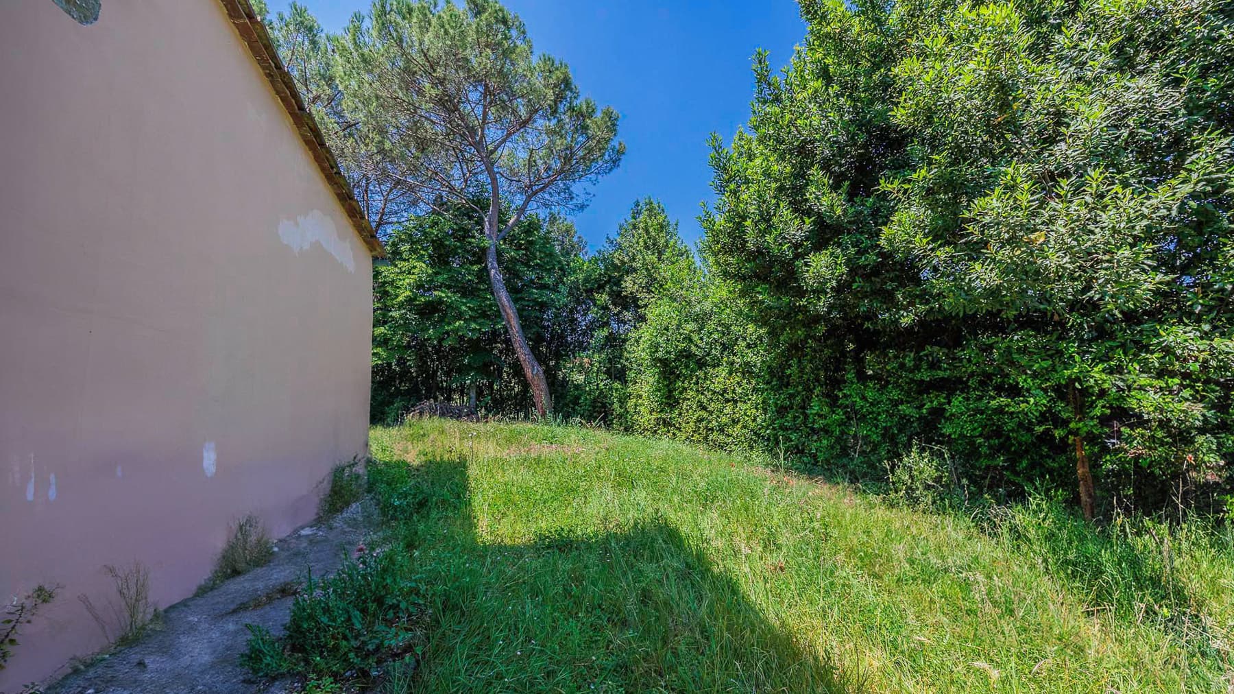 Big Image 19