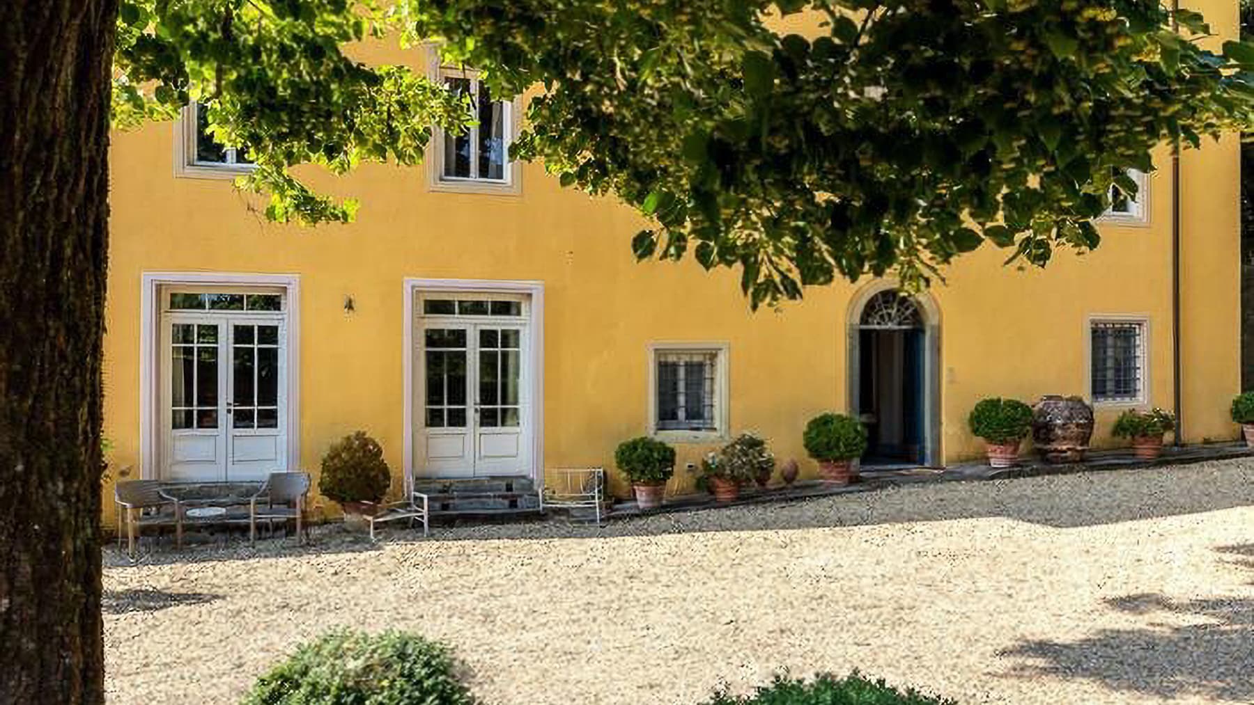 Big Image 8