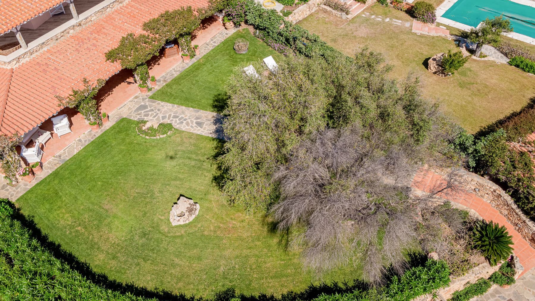 Big Image 9
