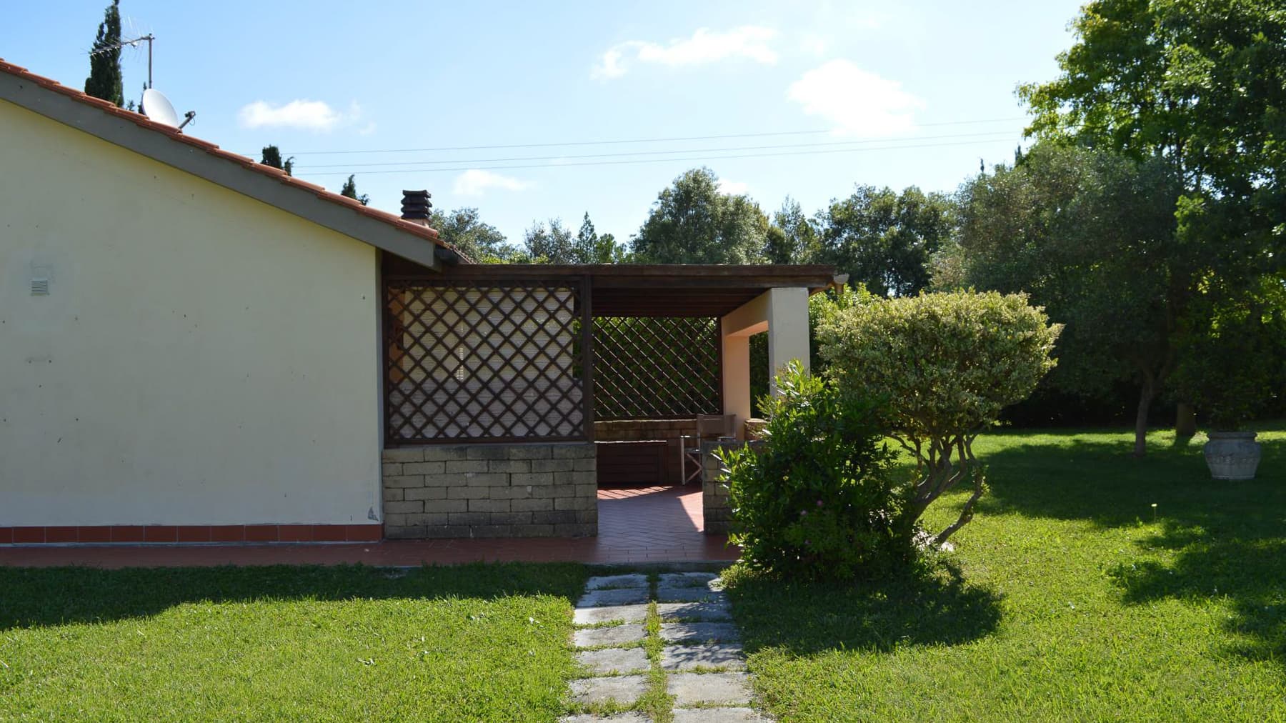 Big Image 13