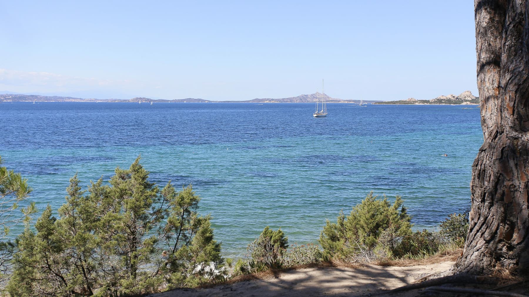 Big Image 10