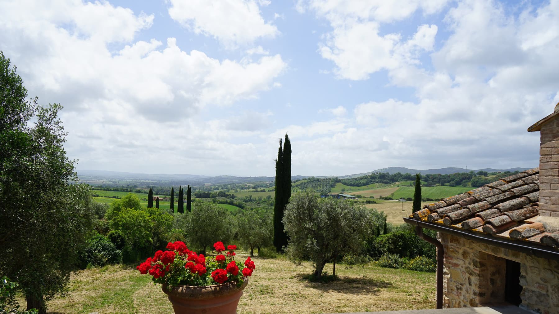 Big Image 12