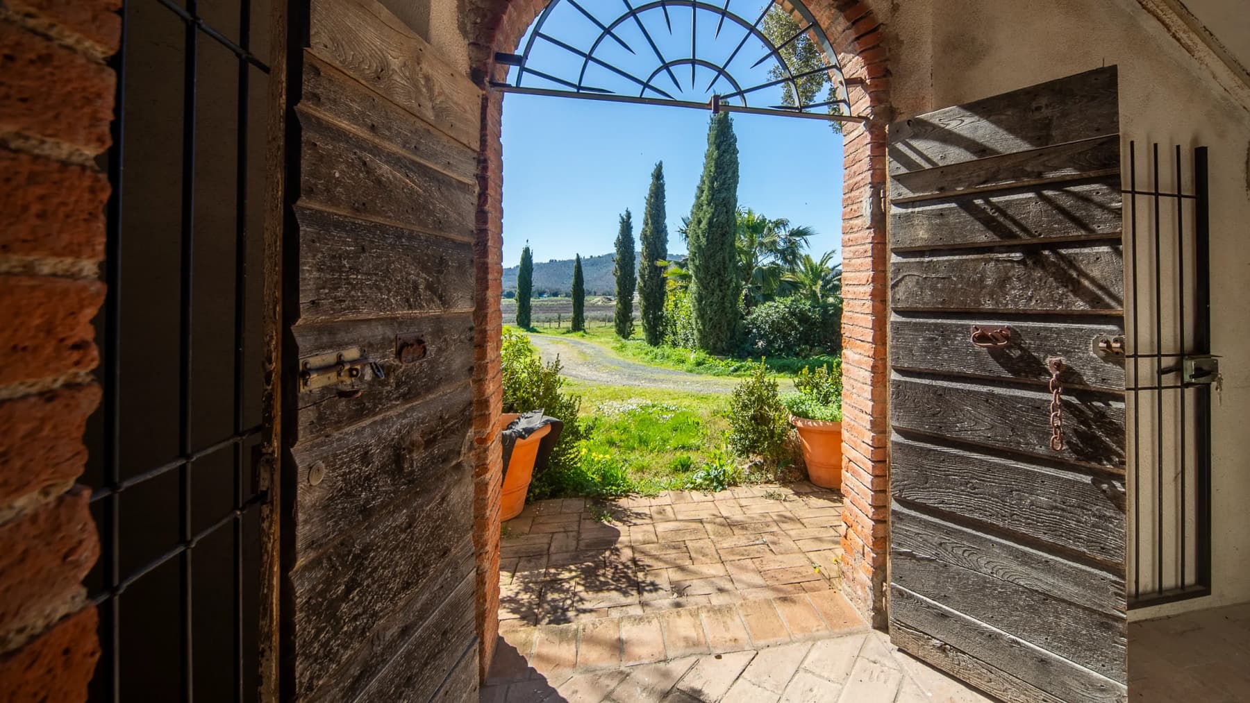 Big Image 3