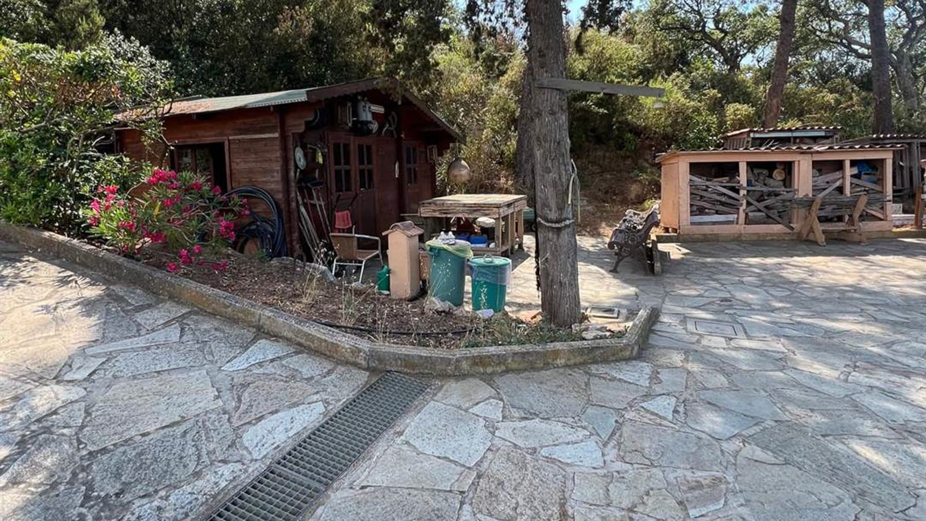 Big Image 39
