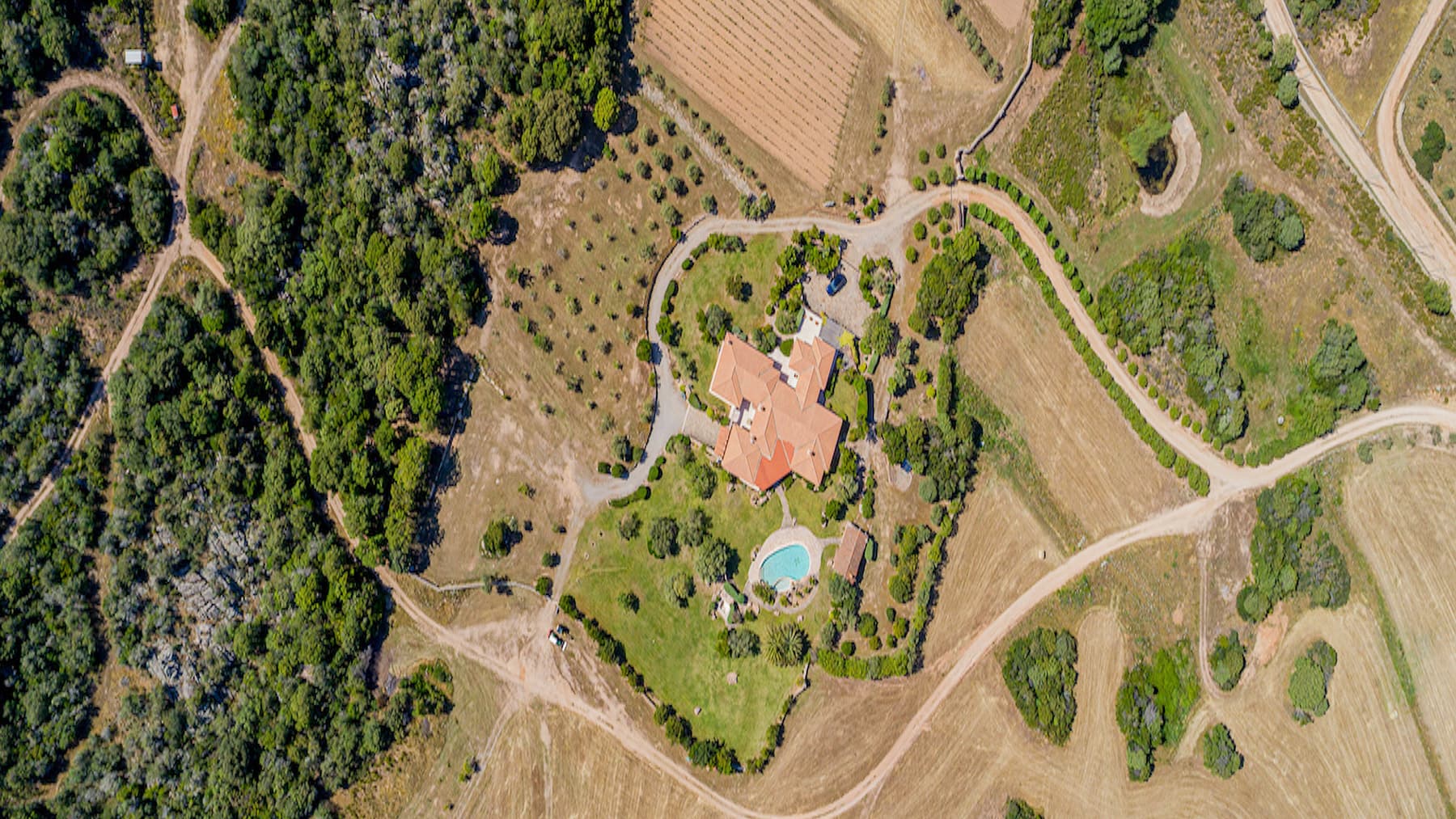Big Image 9