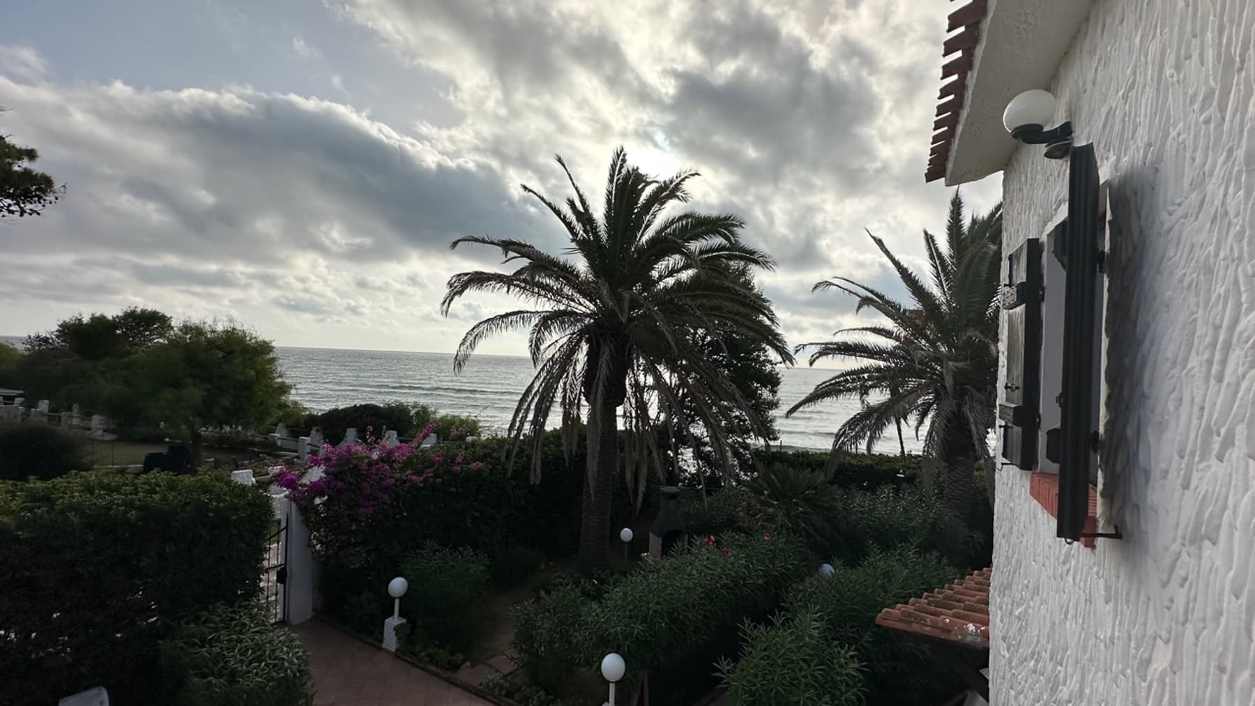 Big Image 14
