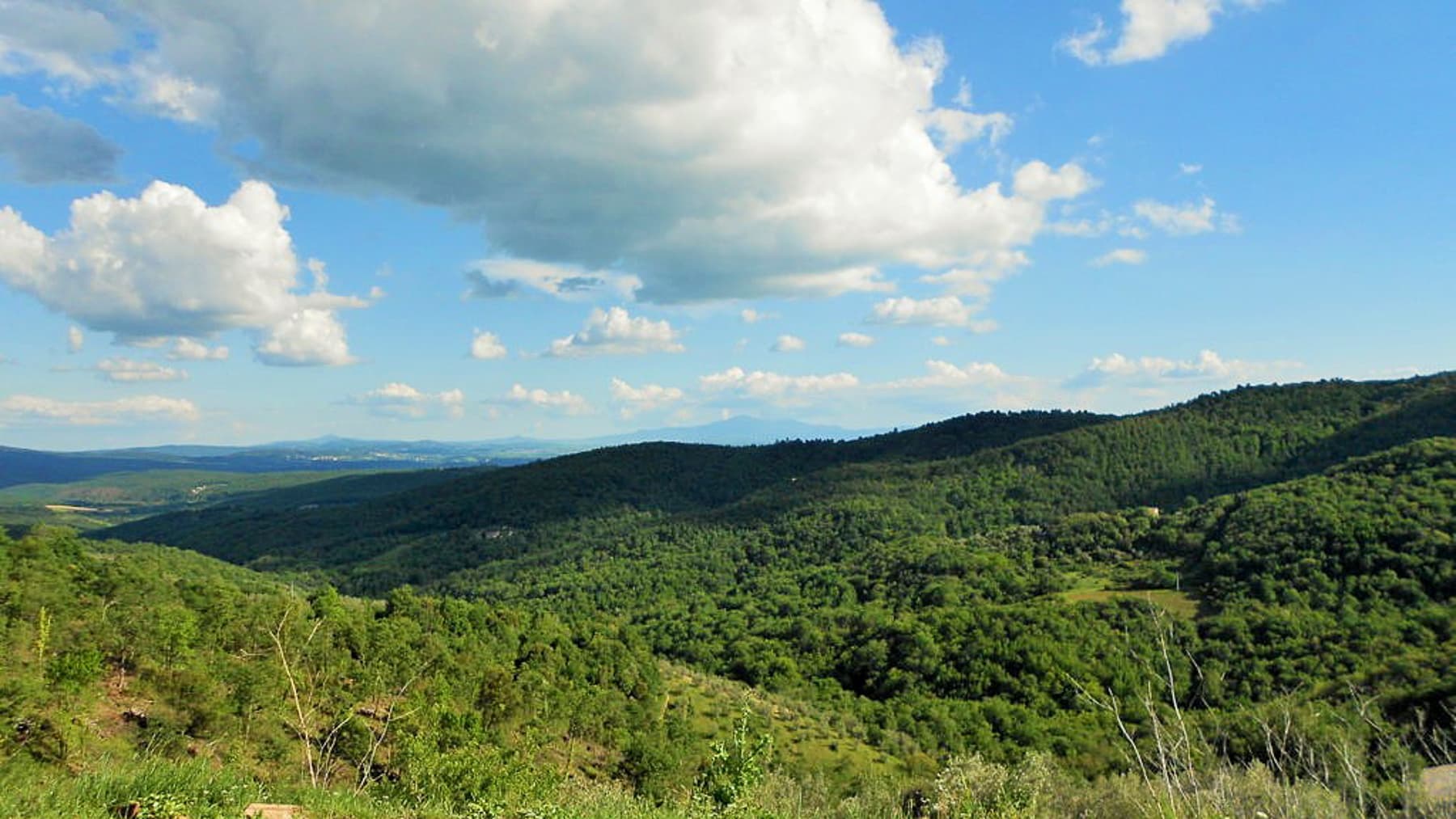 Big Image 9