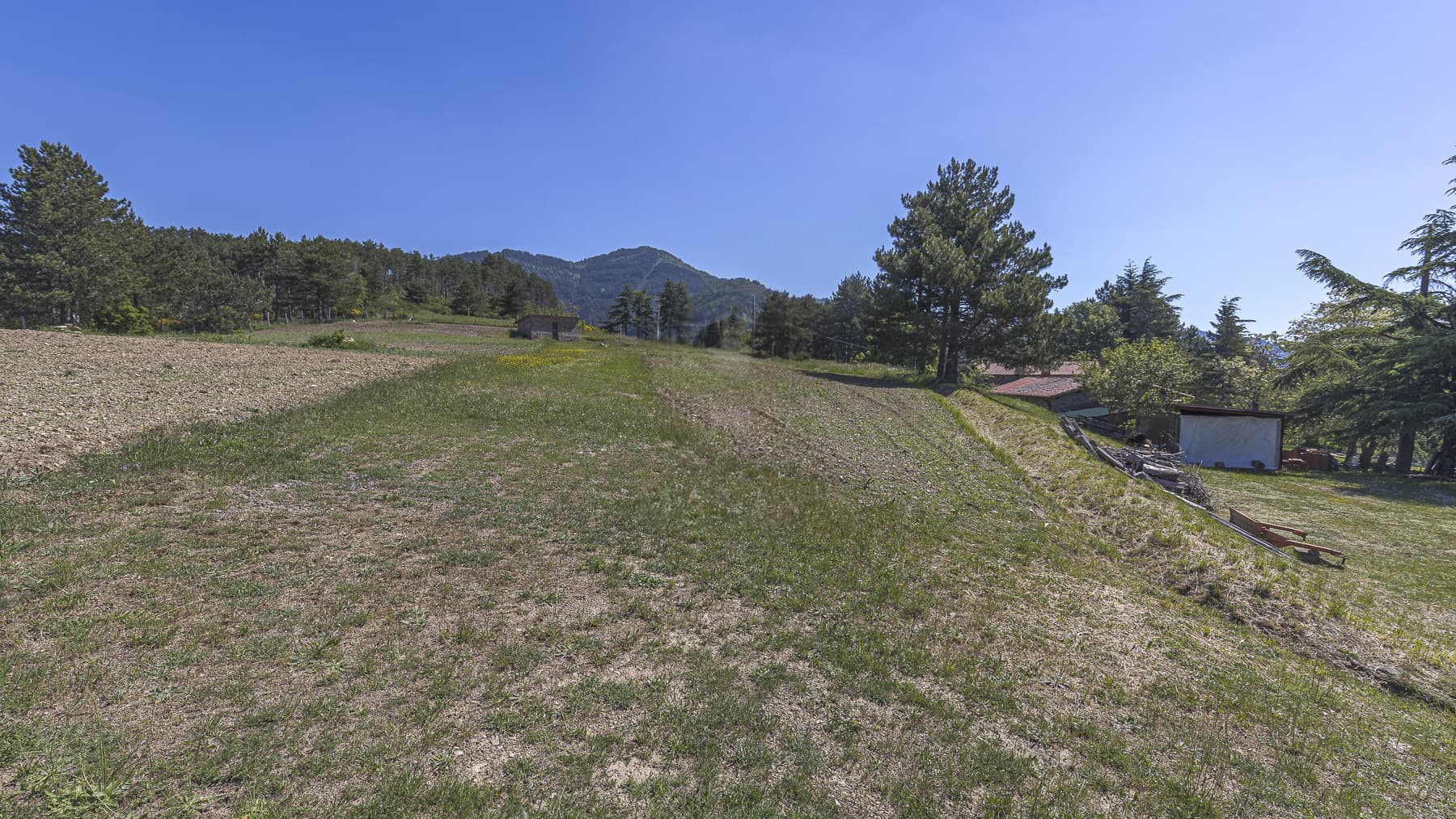 Big Image 12