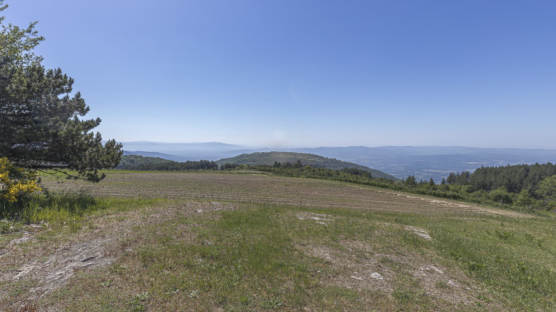 Big Image 7