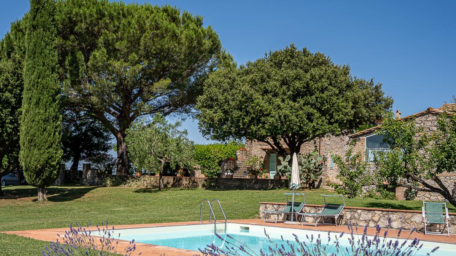 Big Image 26