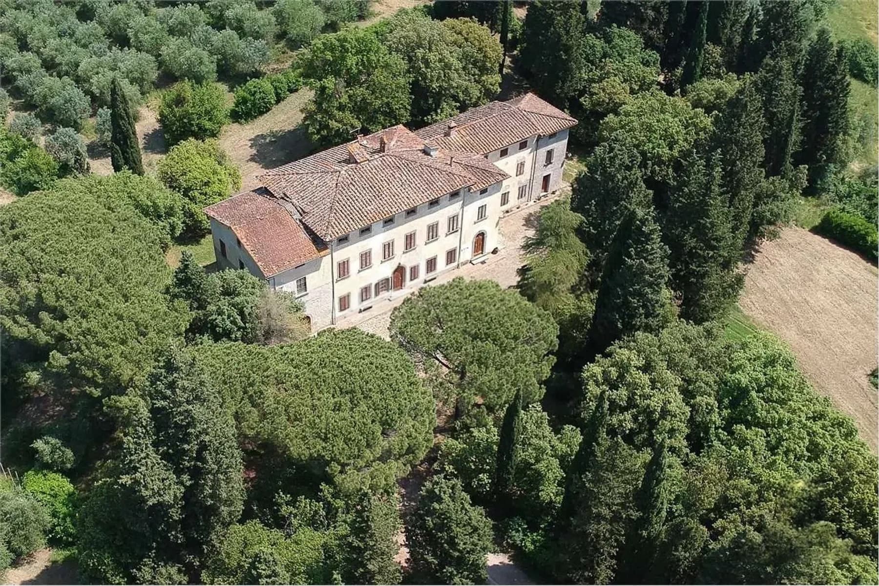 Tutte le foto (25)