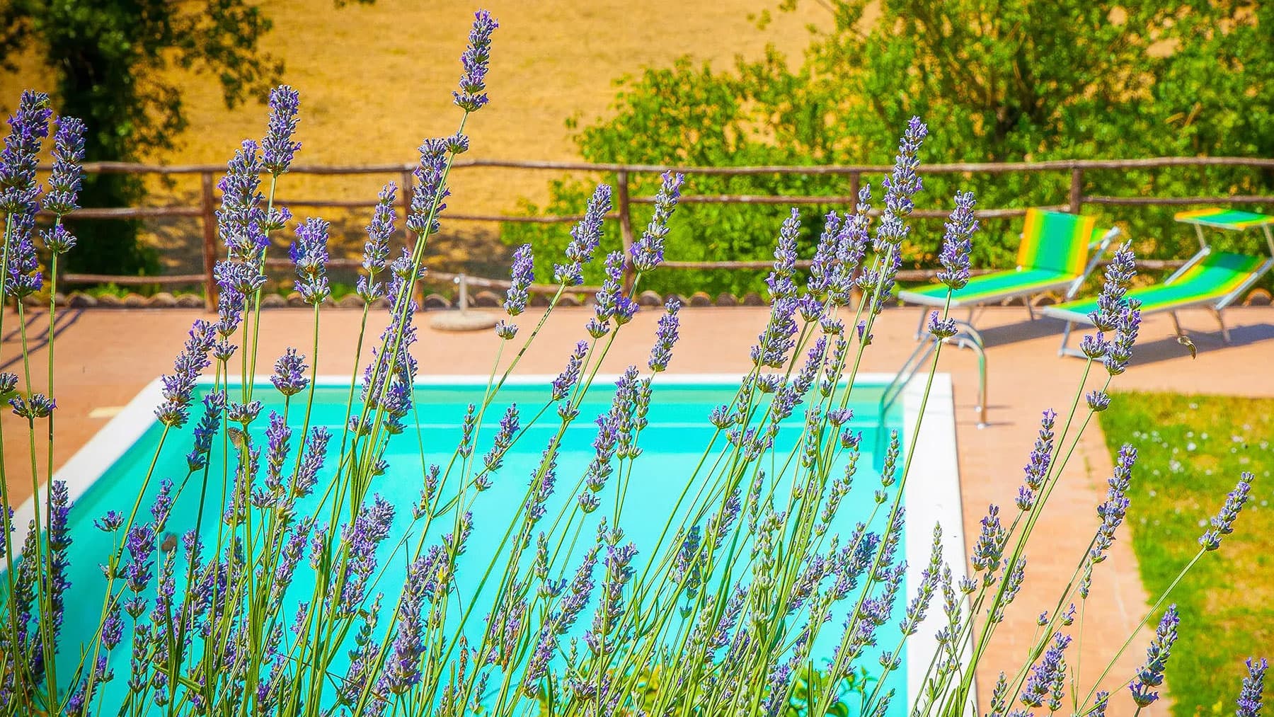 Casale con piscina nella campagna umbra a Todi
