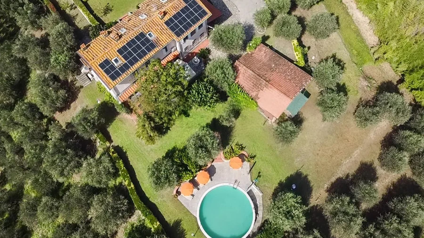Villa con piscina e oliveto a Piano di Conca, Toscana