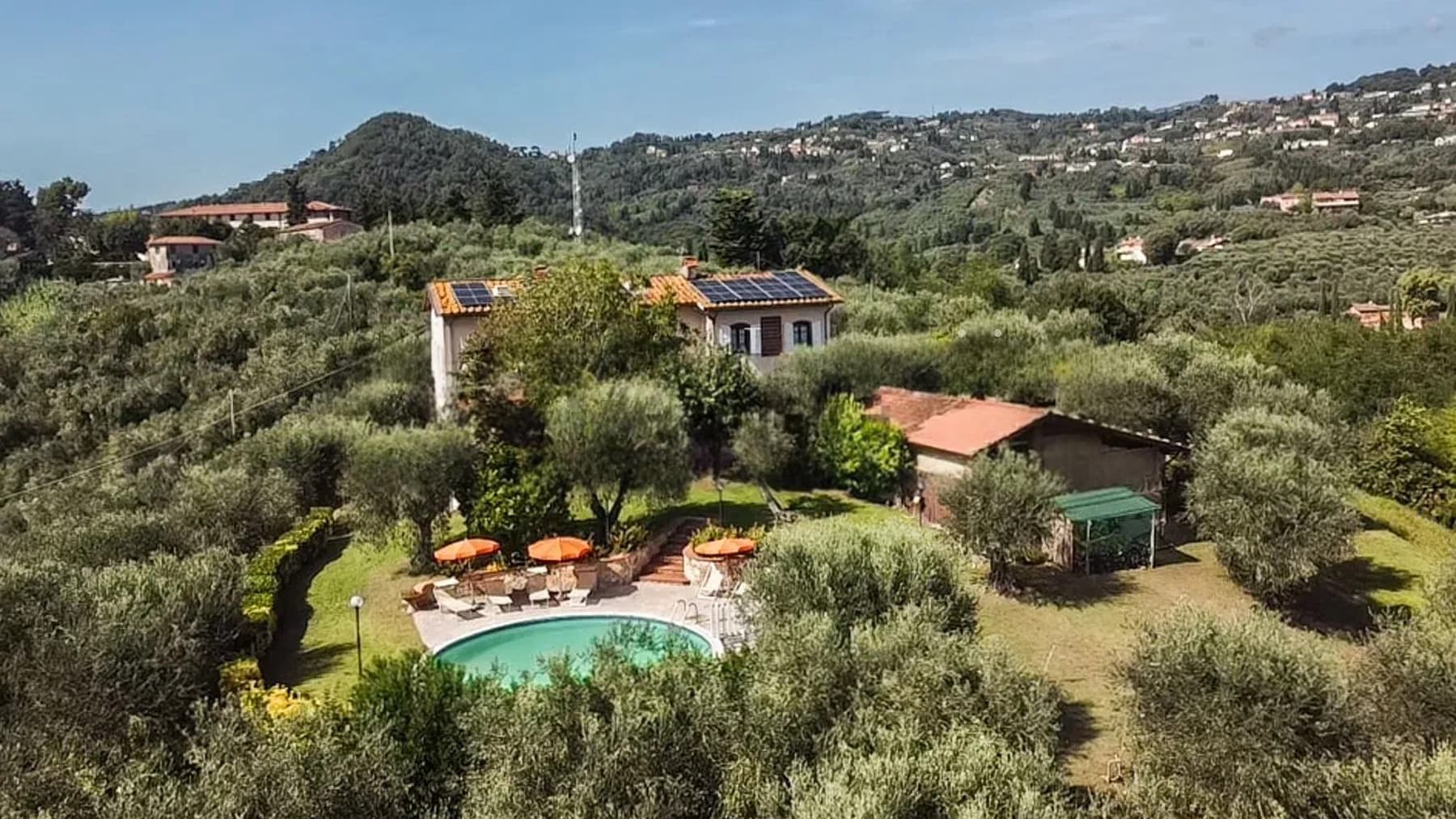 Villa con piscina e oliveto a Piano di Conca, Toscana