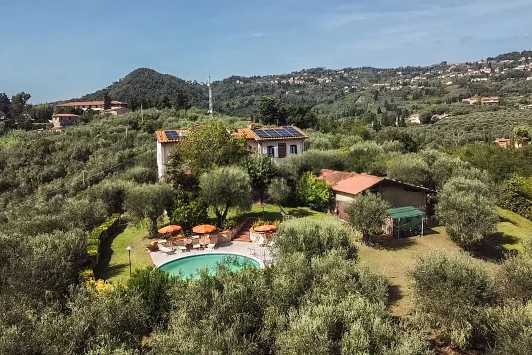 Villa con piscina e oliveto a Piano di Conca, Toscana
