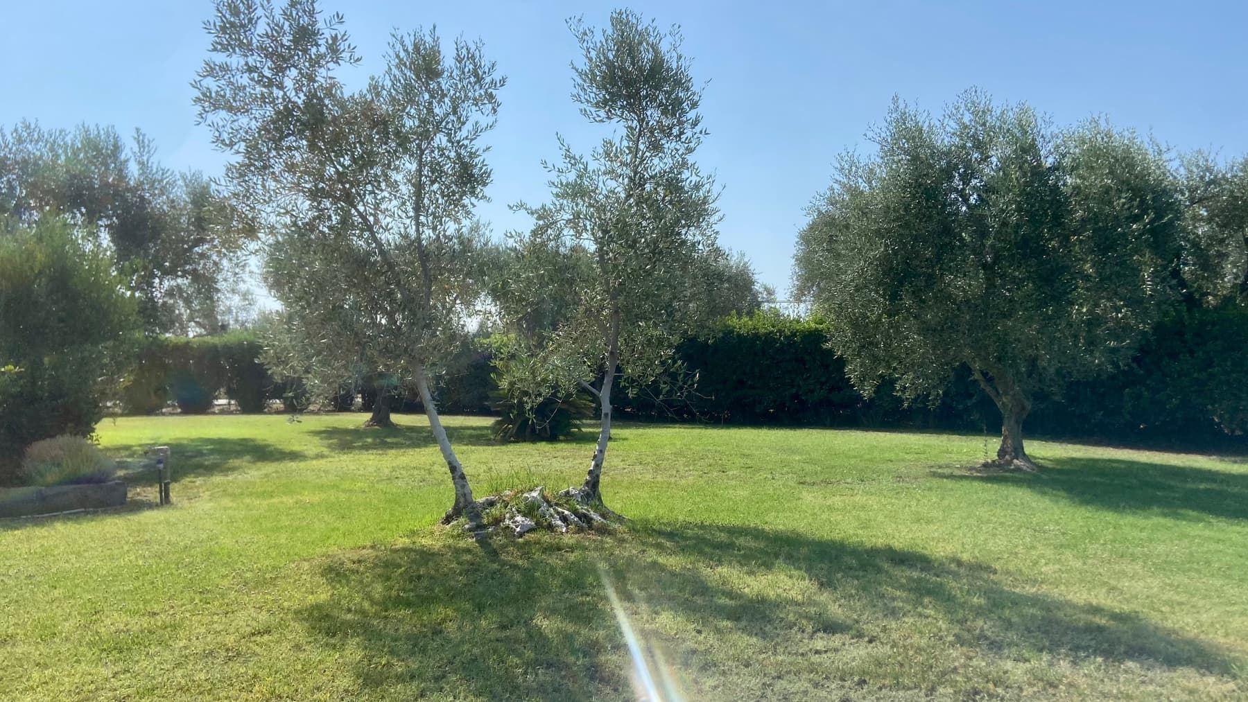 Charming Villa in Capalbio, Tuscany