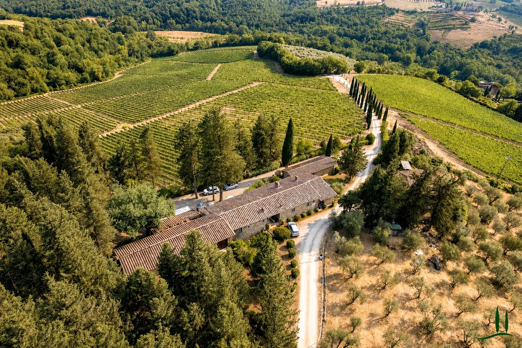 Agriturismo nel cuore del Chianti, Castellina in Chianti