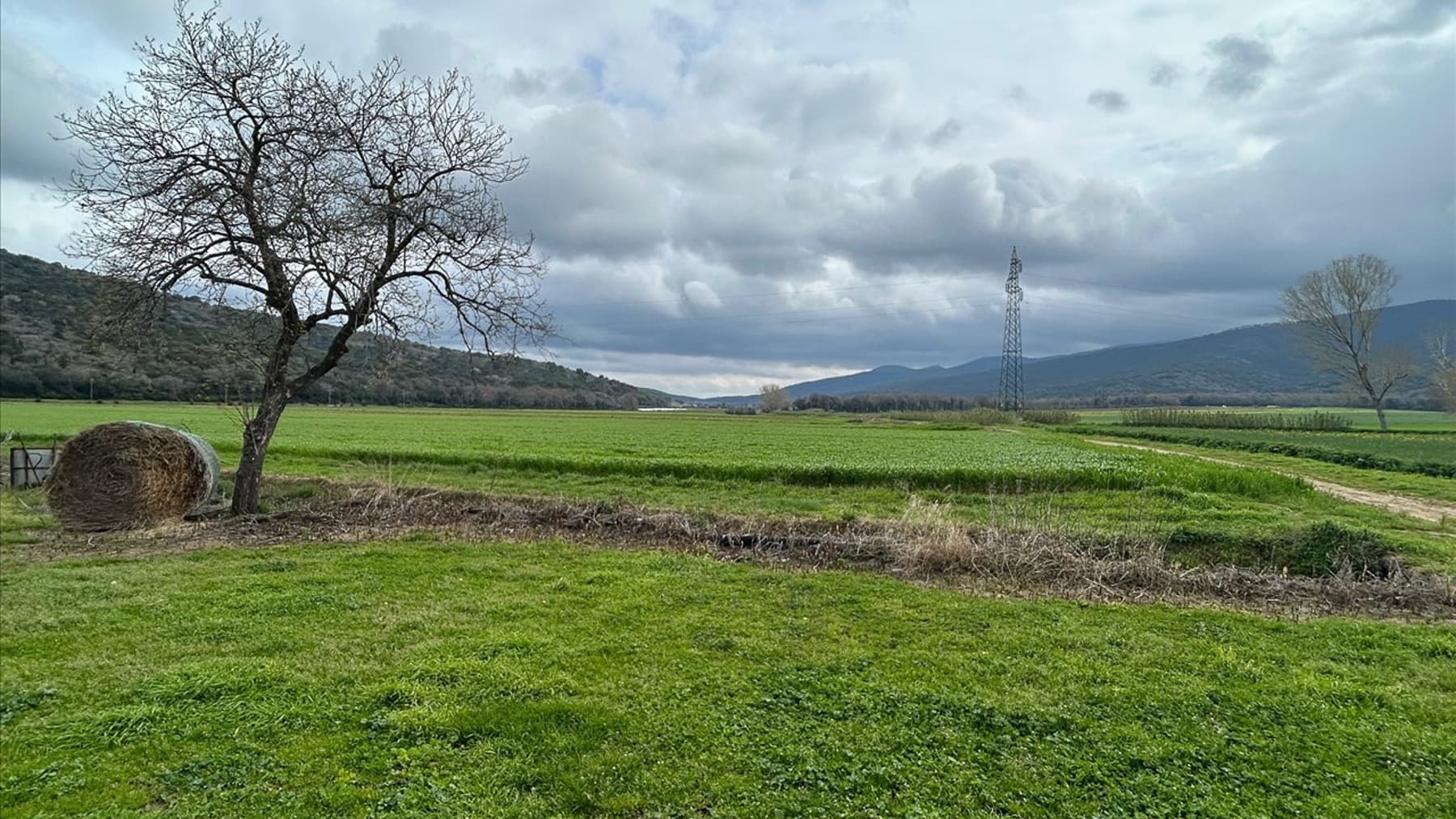Azienda Agricola a Scarlino, nel cuore della Toscana