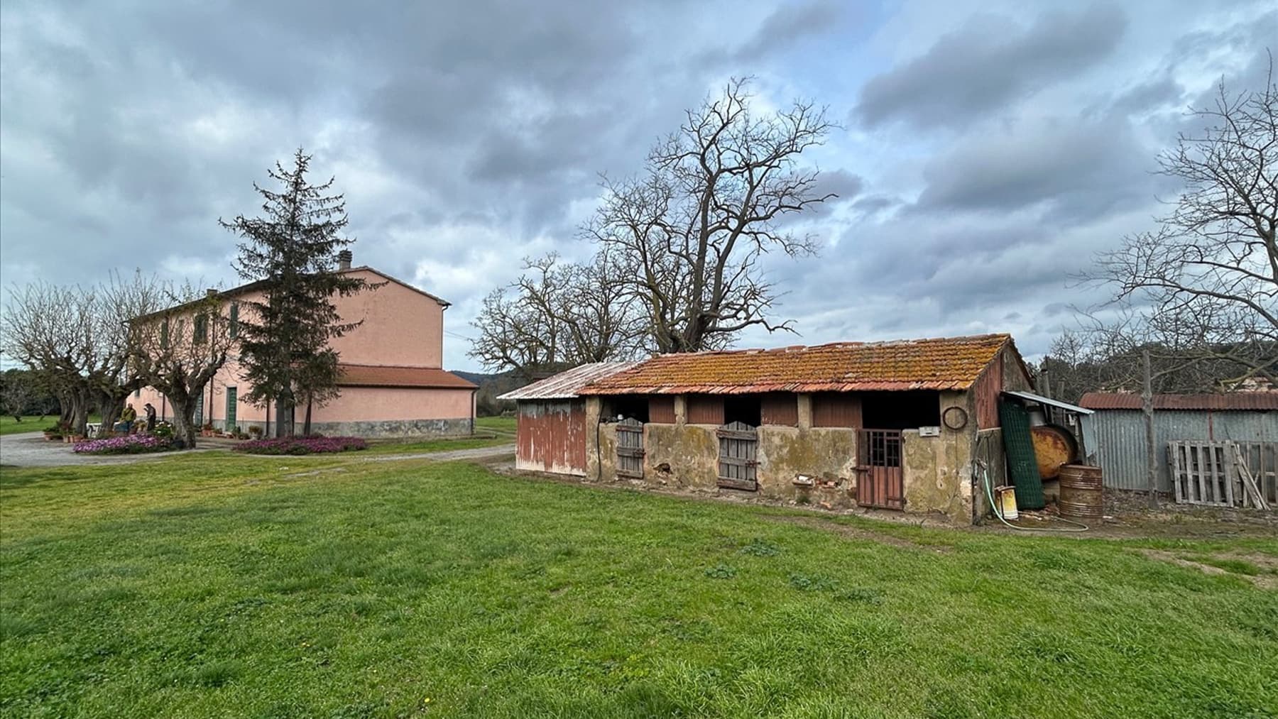 Azienda Agricola a Scarlino, nel cuore della Toscana