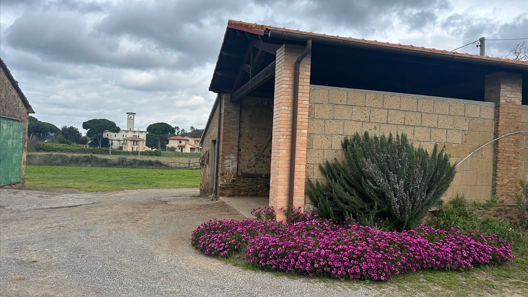 Azienda Agricola a Scarlino, nel cuore della Toscana