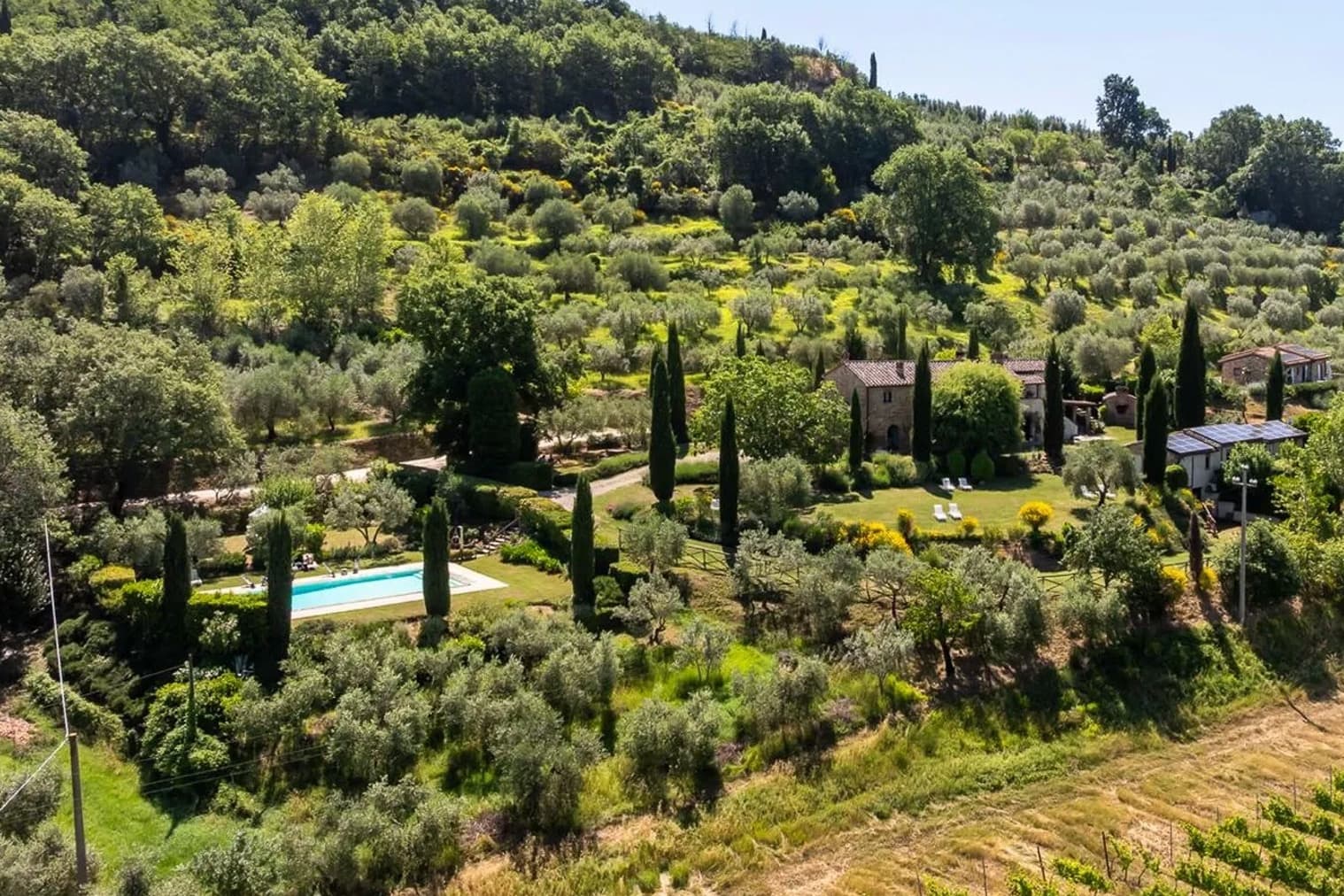 Tutte le foto (51)