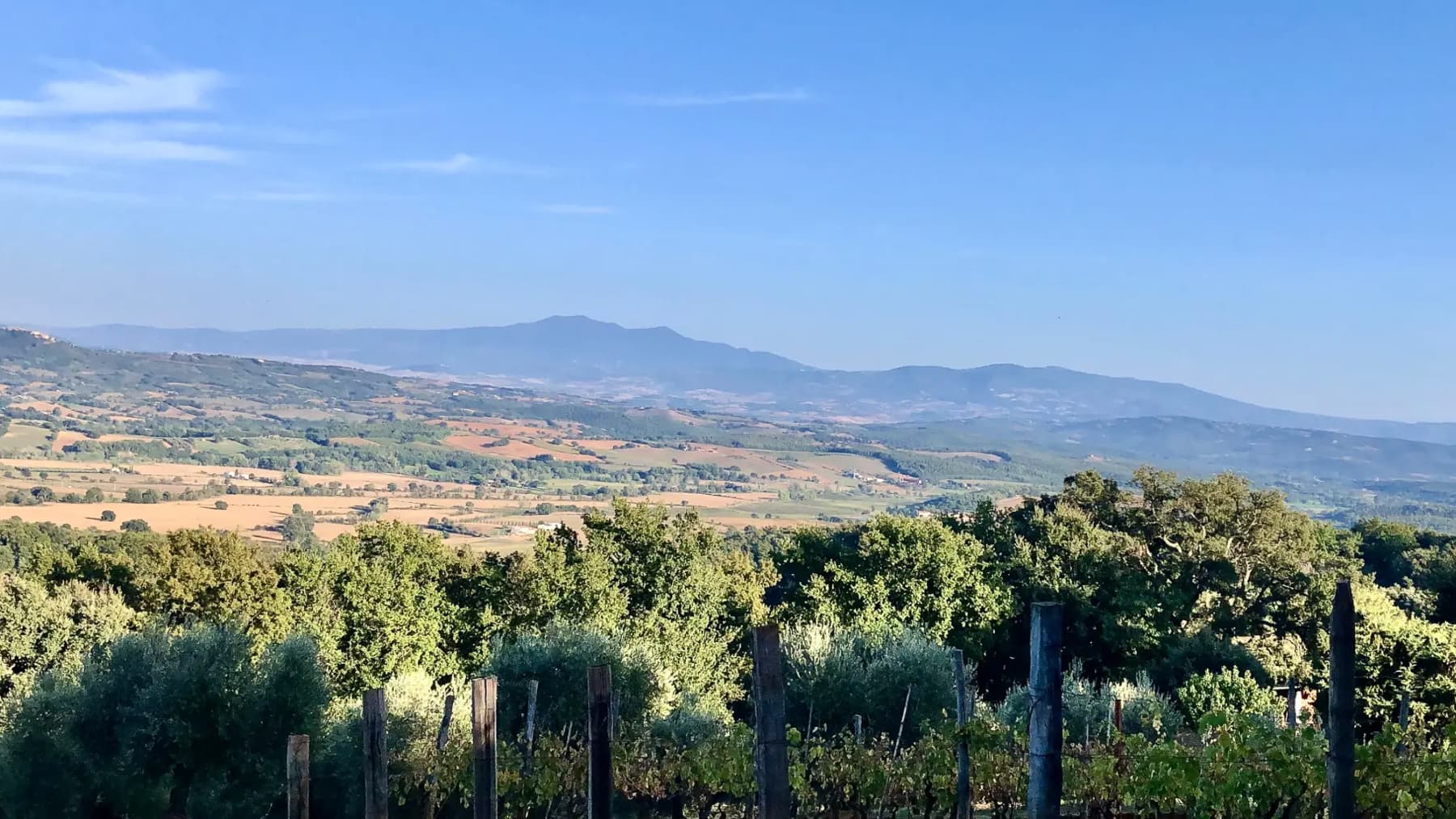 Charming Estate Complex in Roccastrada, Tuscany