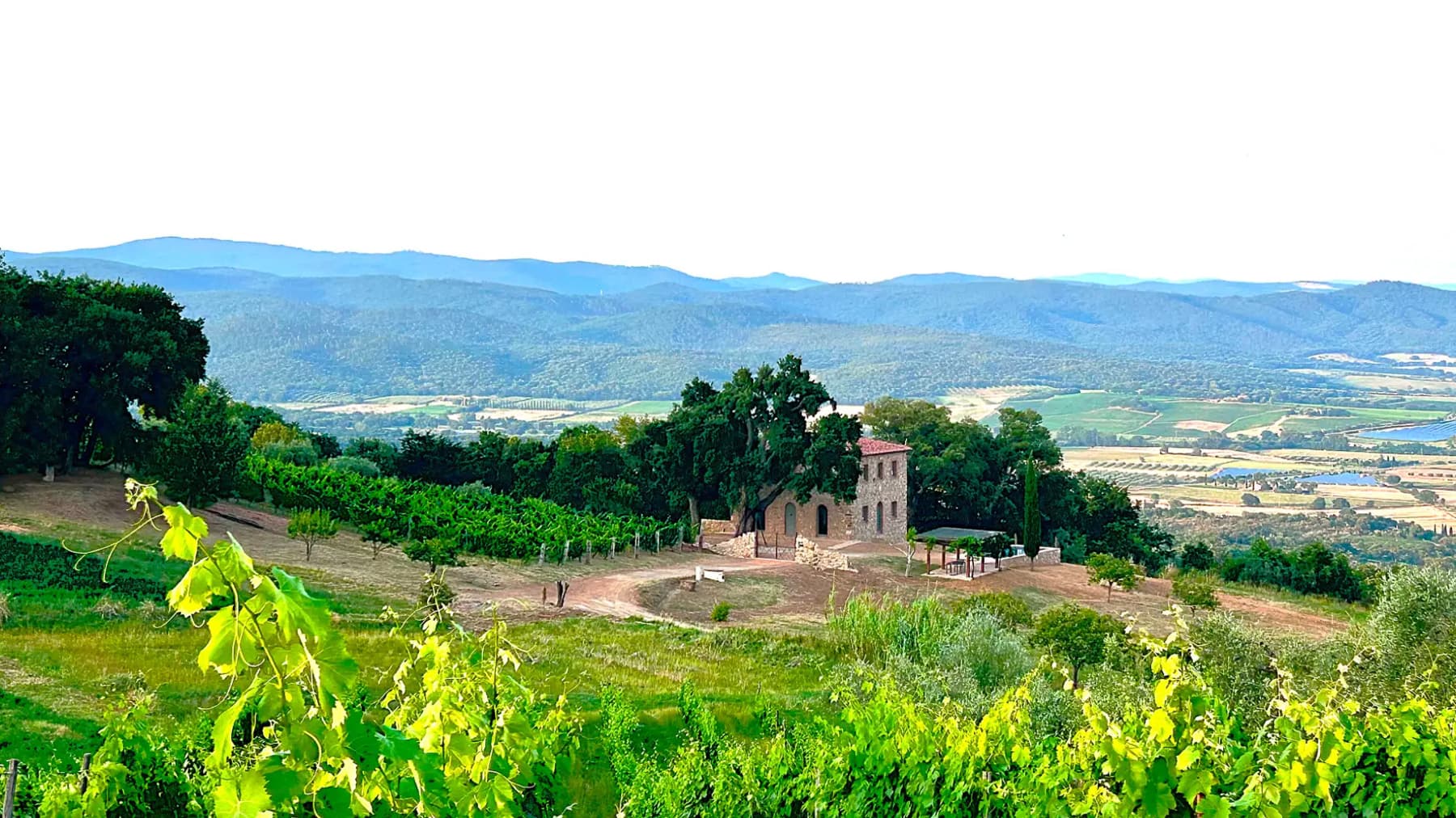 Charming Estate Complex in Roccastrada, Tuscany