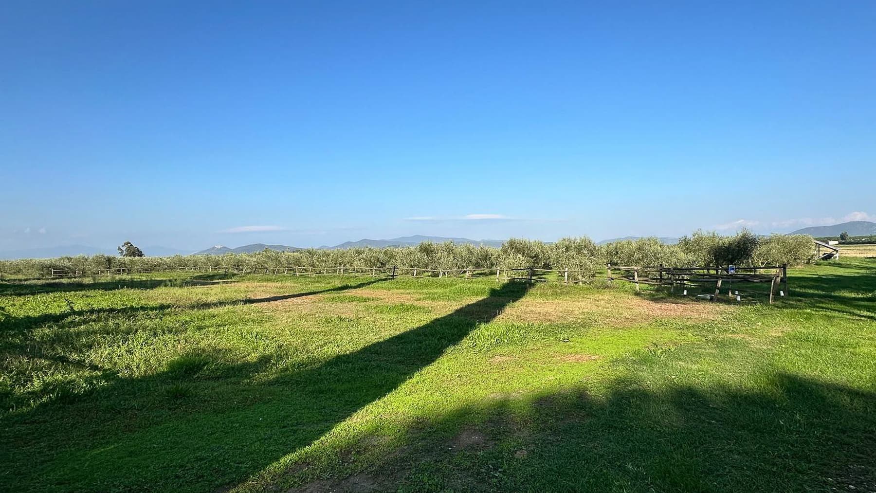 Charming Agritourism Retreat in Tuscany's Grosseto