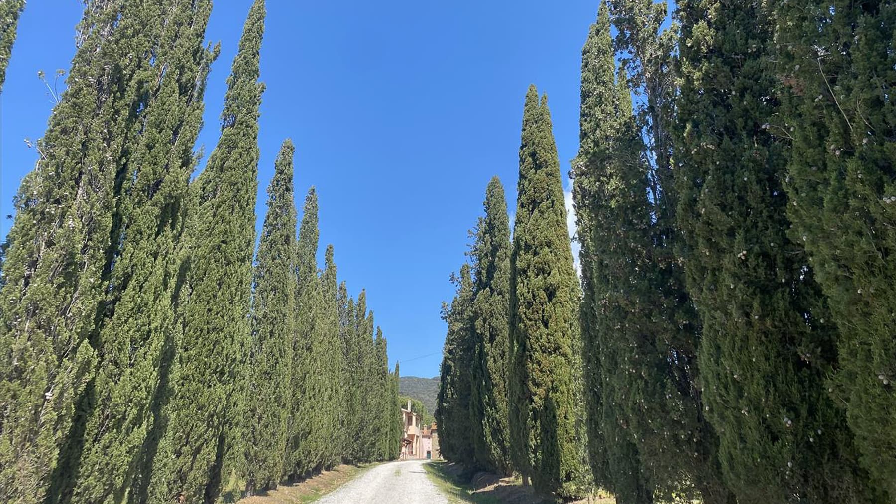 Rustic Country House in Scenic Tuscany, Scarlino