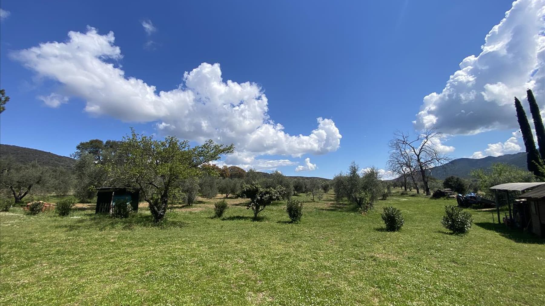 Rustic Country House in Scenic Tuscany, Scarlino