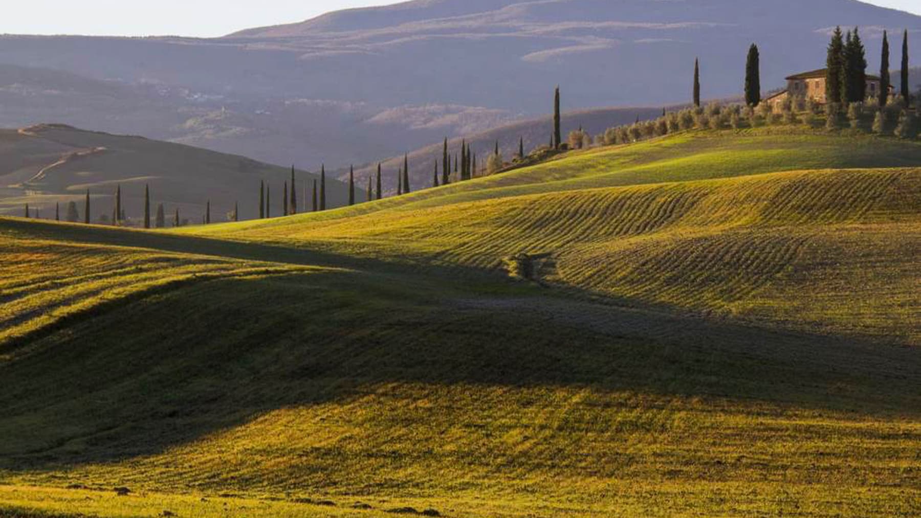 Azienda Agricola in Toscana, Montefioralle con Vigneto