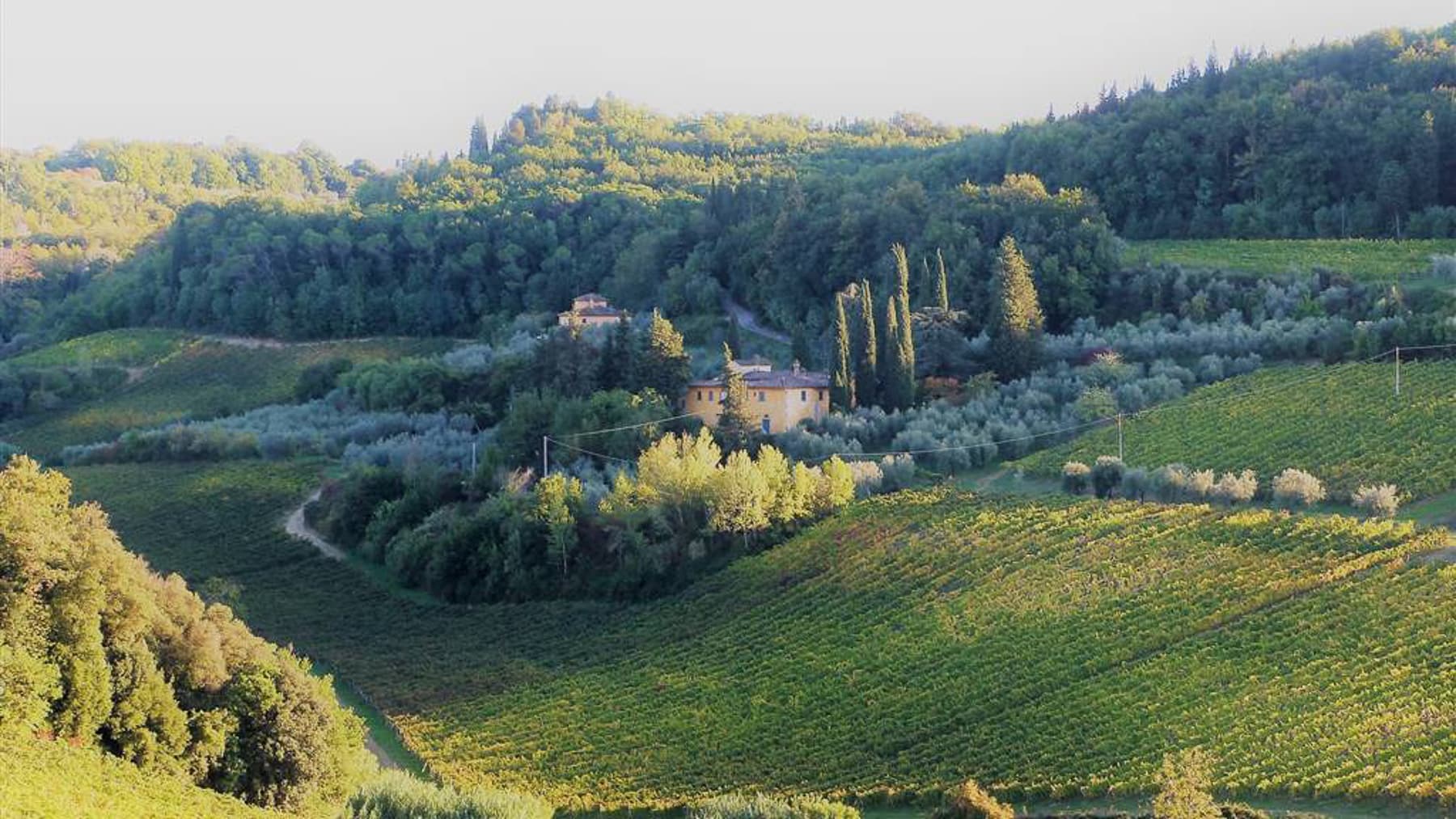 Azienda Agricola in Chianti, San Casciano in Val di Pesa