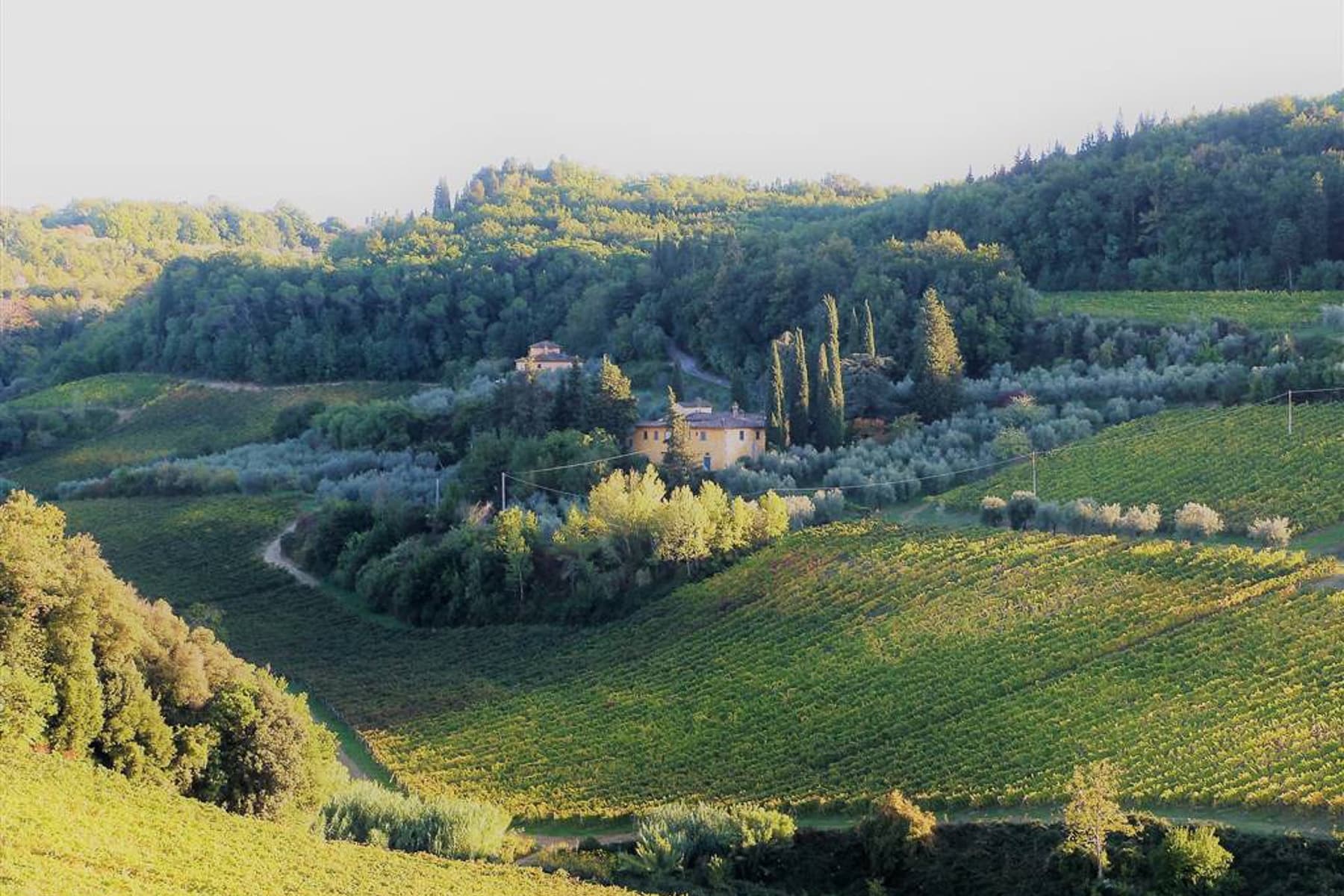 Azienda Agricola in Chianti, San Casciano in Val di Pesa