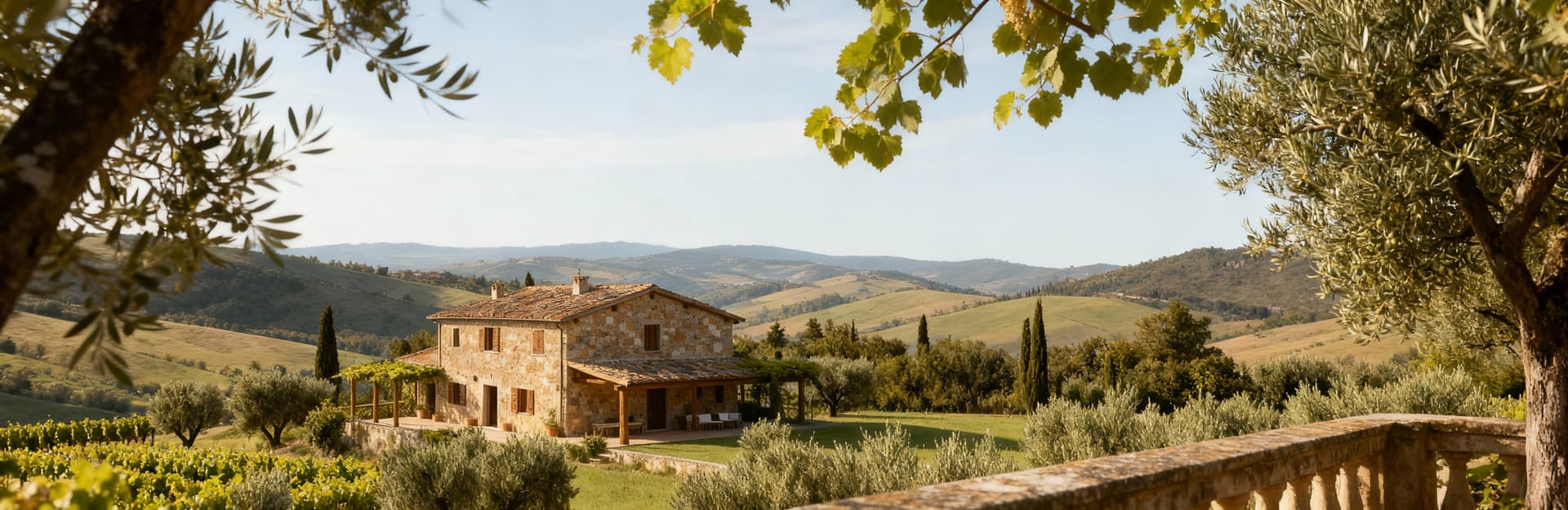 Charming farmhouses for sale, surrounded by greenery, offering rural hospitality and essential comforts in a natural setting.