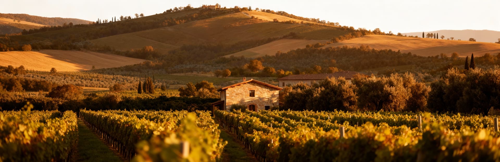 Appartamenti in vendita in Puglia: un casale rustico tra vigneti, con pareti in pietra, tetto in legno e luce pomeridiana.