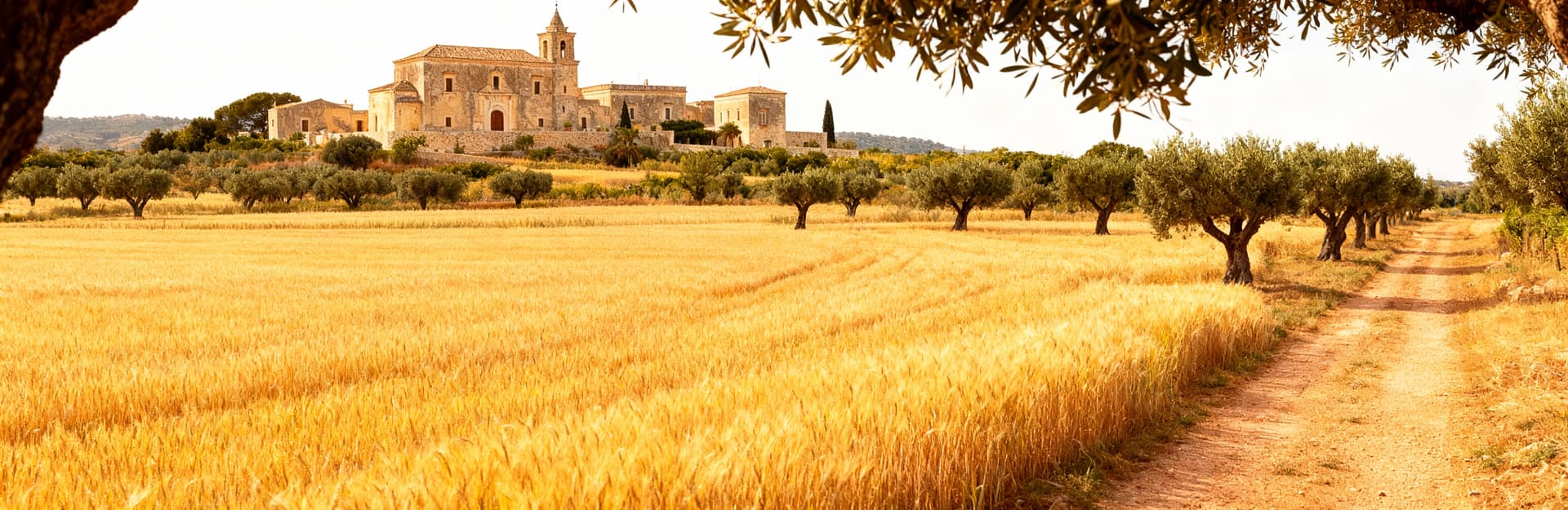 Charming countryside properties for sale in Syracuse province, surrounded by wheat fields and ancient olive trees.