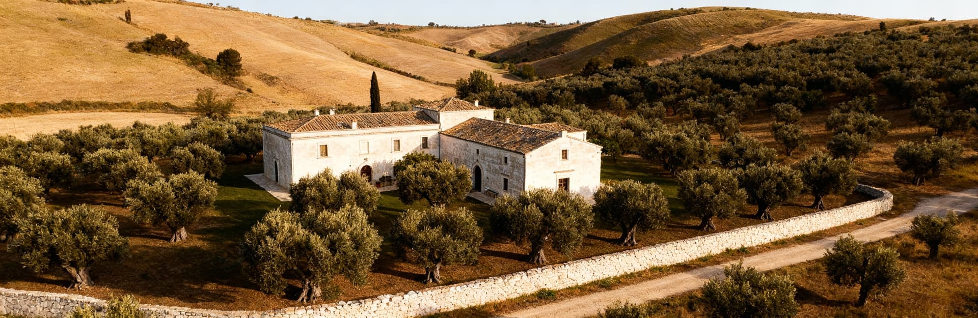 Charming countryside agritourisms for sale in Puglia, surrounded by olive groves and historic villages, offering unique lifestyle opportunities.