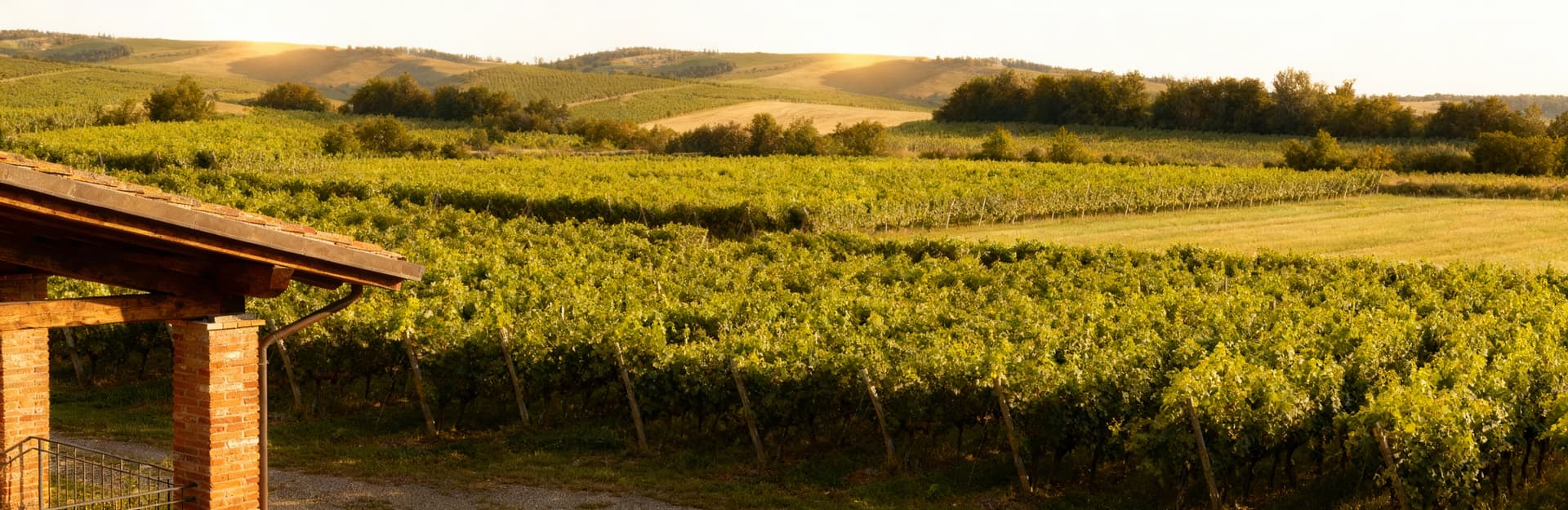 Luxury villas for sale in Asti, showcasing rich history, scenic vineyards, and unique architectural designs in a serene landscape.