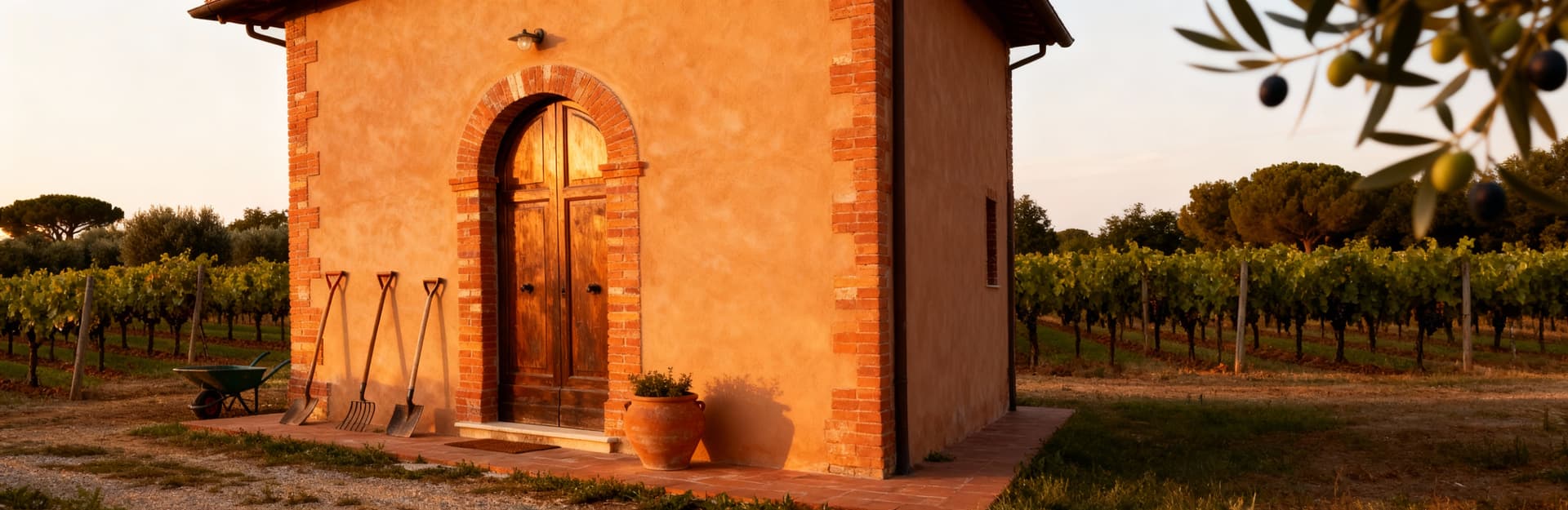 Charming agricultural estates for sale in Pisa's scenic countryside, featuring hills, olive groves, and historic villas.