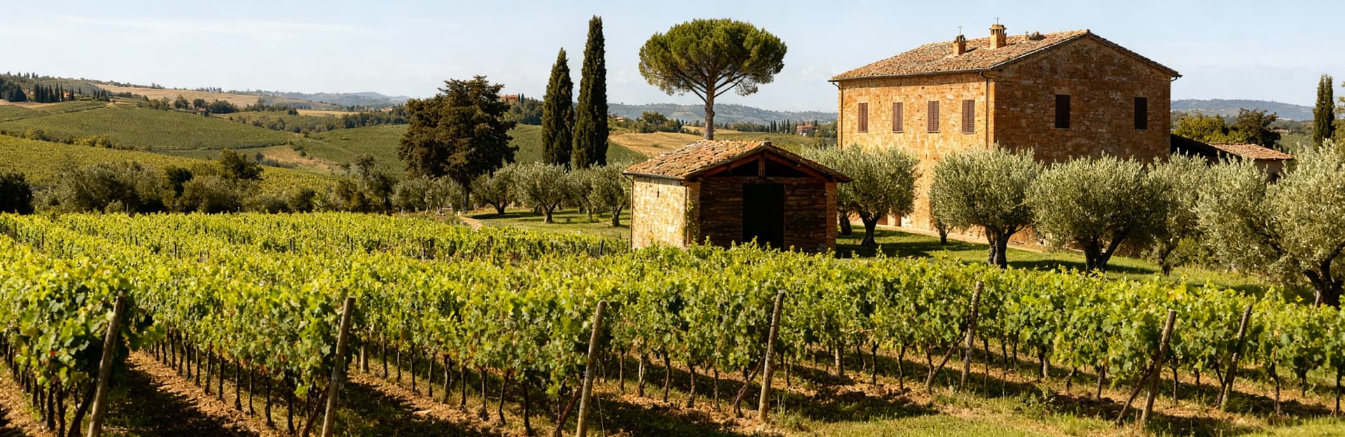 Luxury apartments for sale in Siena's historic city center, showcasing stunning architecture and beautiful Tuscan landscapes.