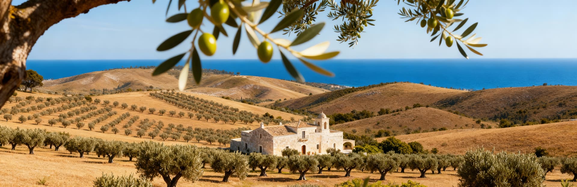 Stunning Brindisi landscapes featuring agricultural plots for sale, ancient olive groves, and elegant villas amidst rich culture.