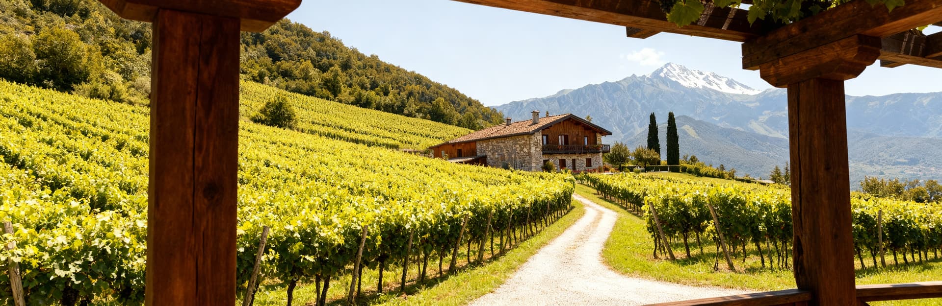 Agriturismo in Lombardia circondato da colline e vigneti, struttura in legno e pietra con vista sulle Alpi.
